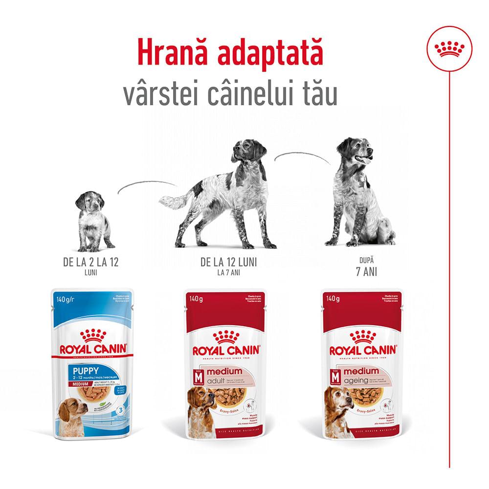 ROYAL CANIN Medium Adult hrană umedă câini (în sos), bax, 140g x 10buc