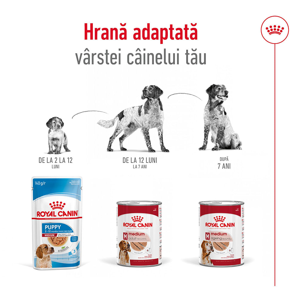 ROYAL CANIN Medium Adult hrană umedă câini (pate), bax, 410g x 12buc
