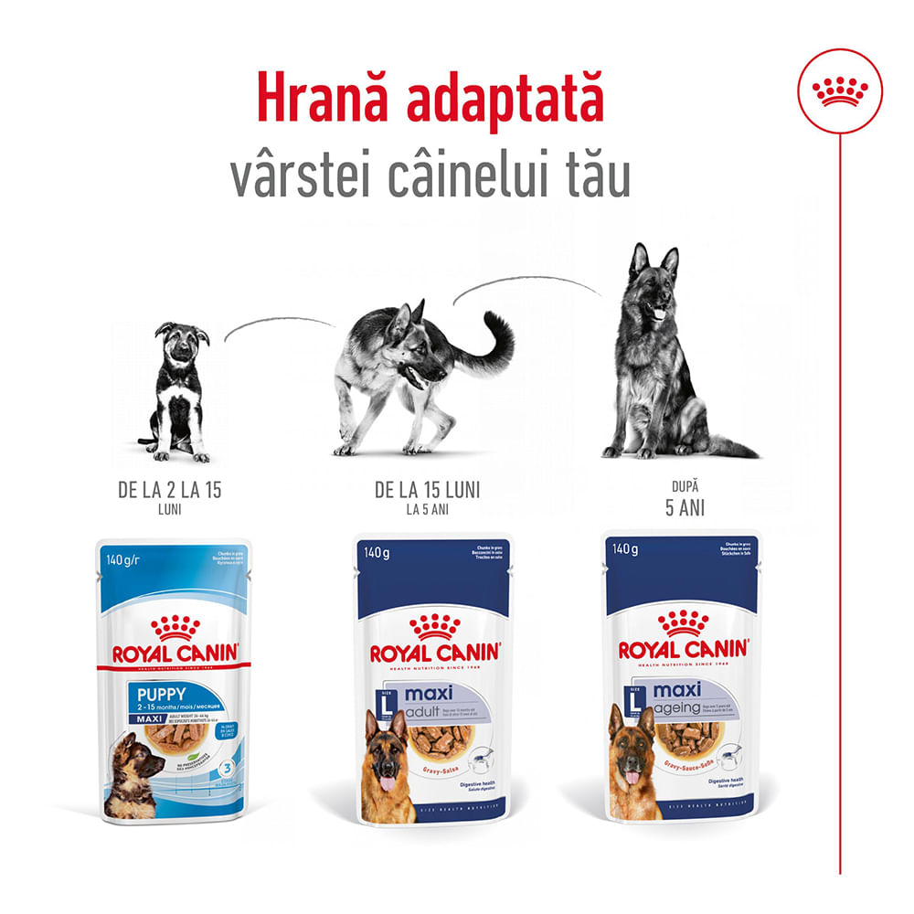 ROYAL CANIN Maxi Adult, hrană umedă câini, (în sos), bax, 140g x 10buc