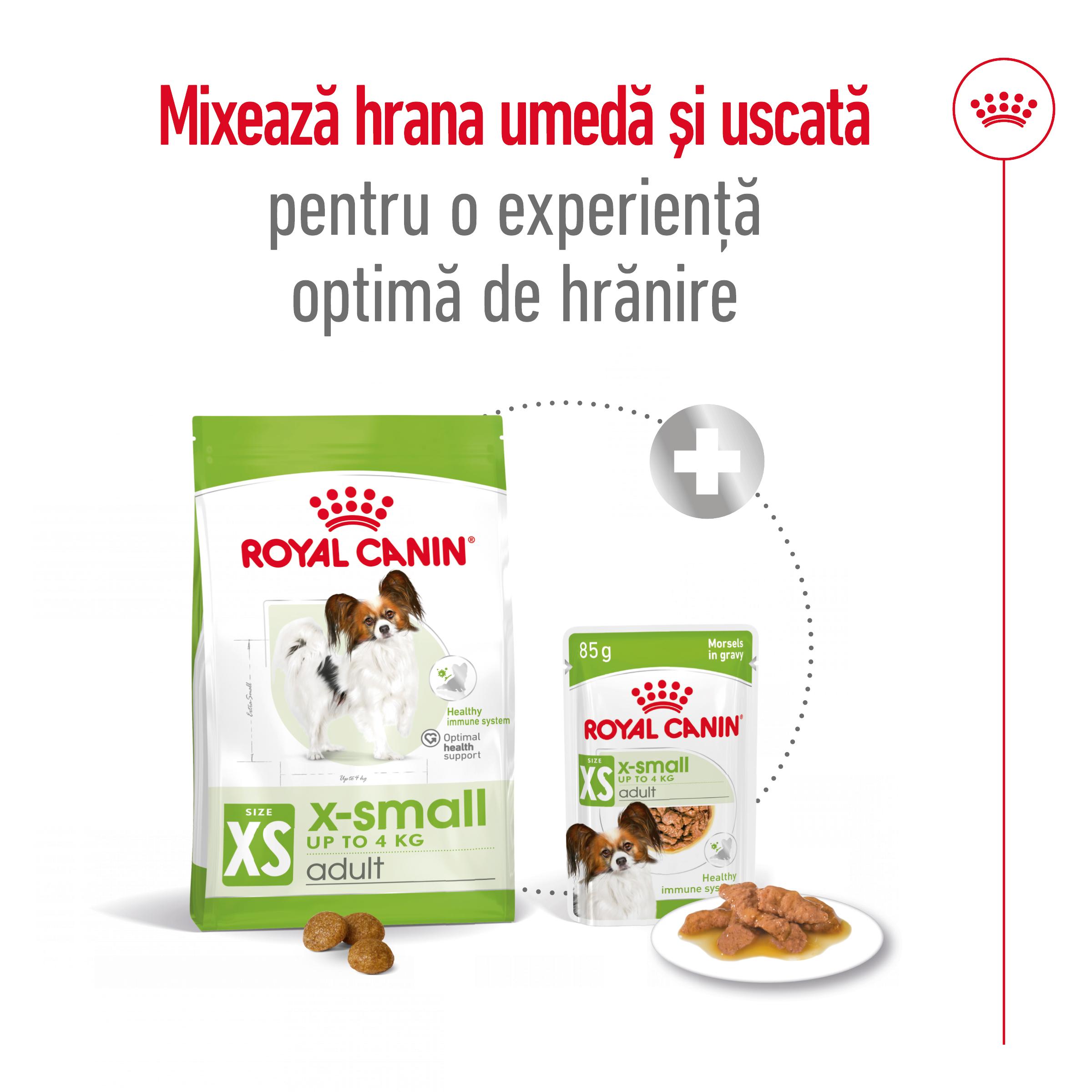 ROYAL CANIN X-Small Adult, hrană uscată câini, 1.5kg