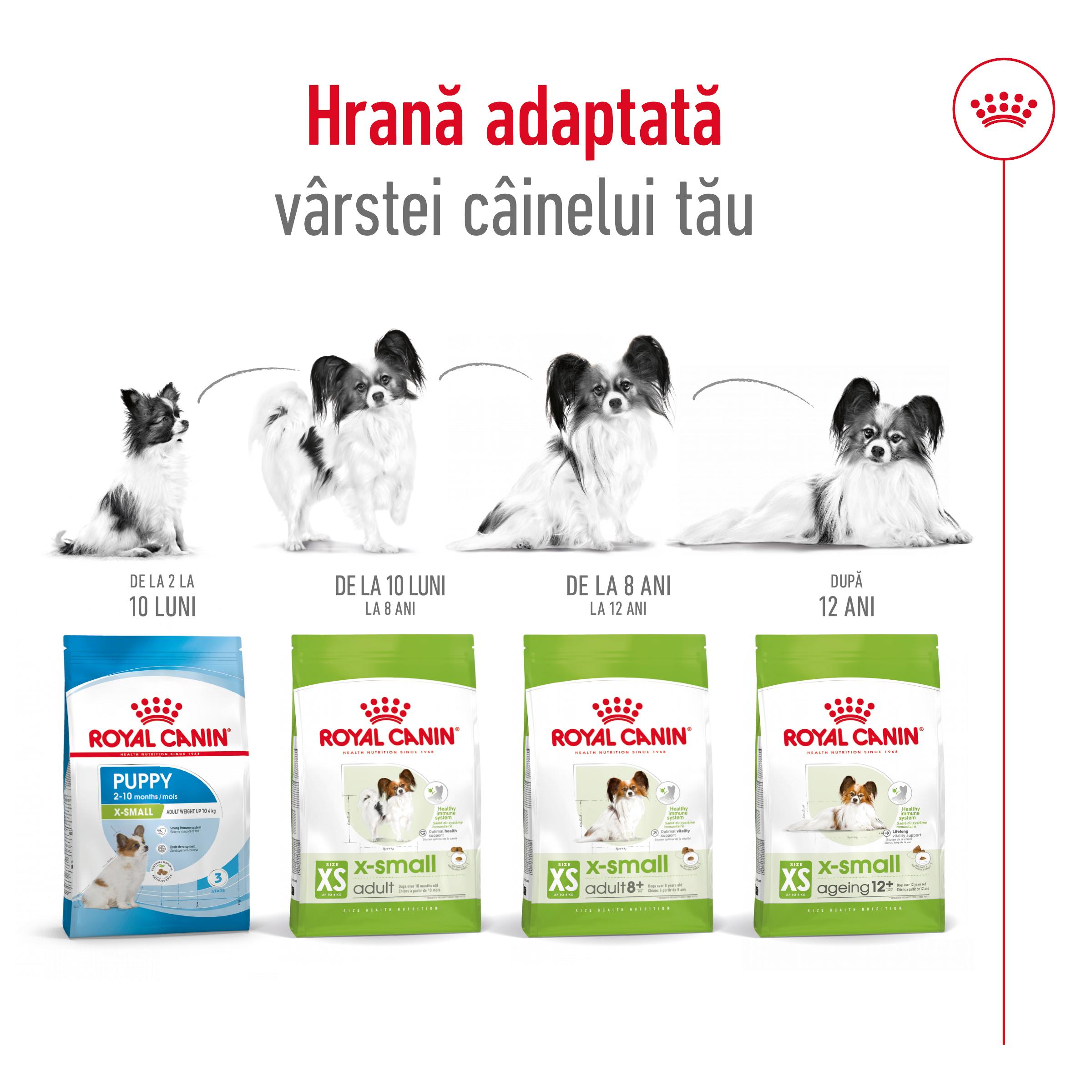 ROYAL CANIN X-Small Adult, hrană uscată câini, 1.5kg