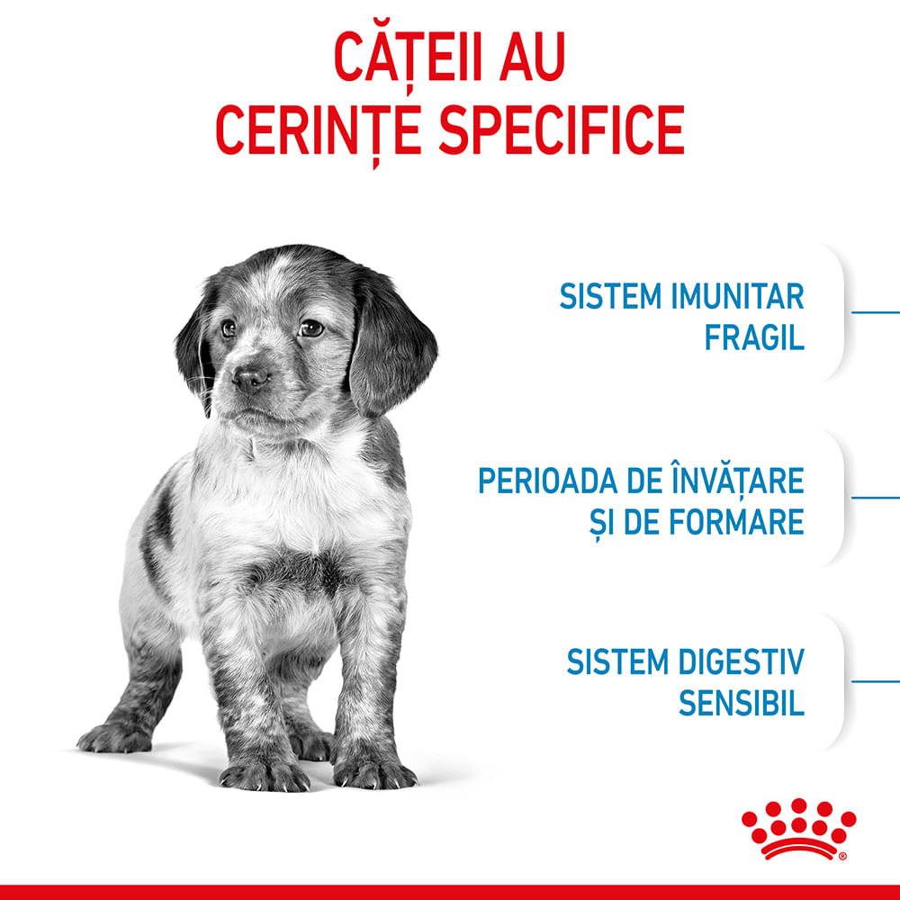 ROYAL CANIN Medium Puppy, hrană uscată câini junior, 1kg - 3 | YEO