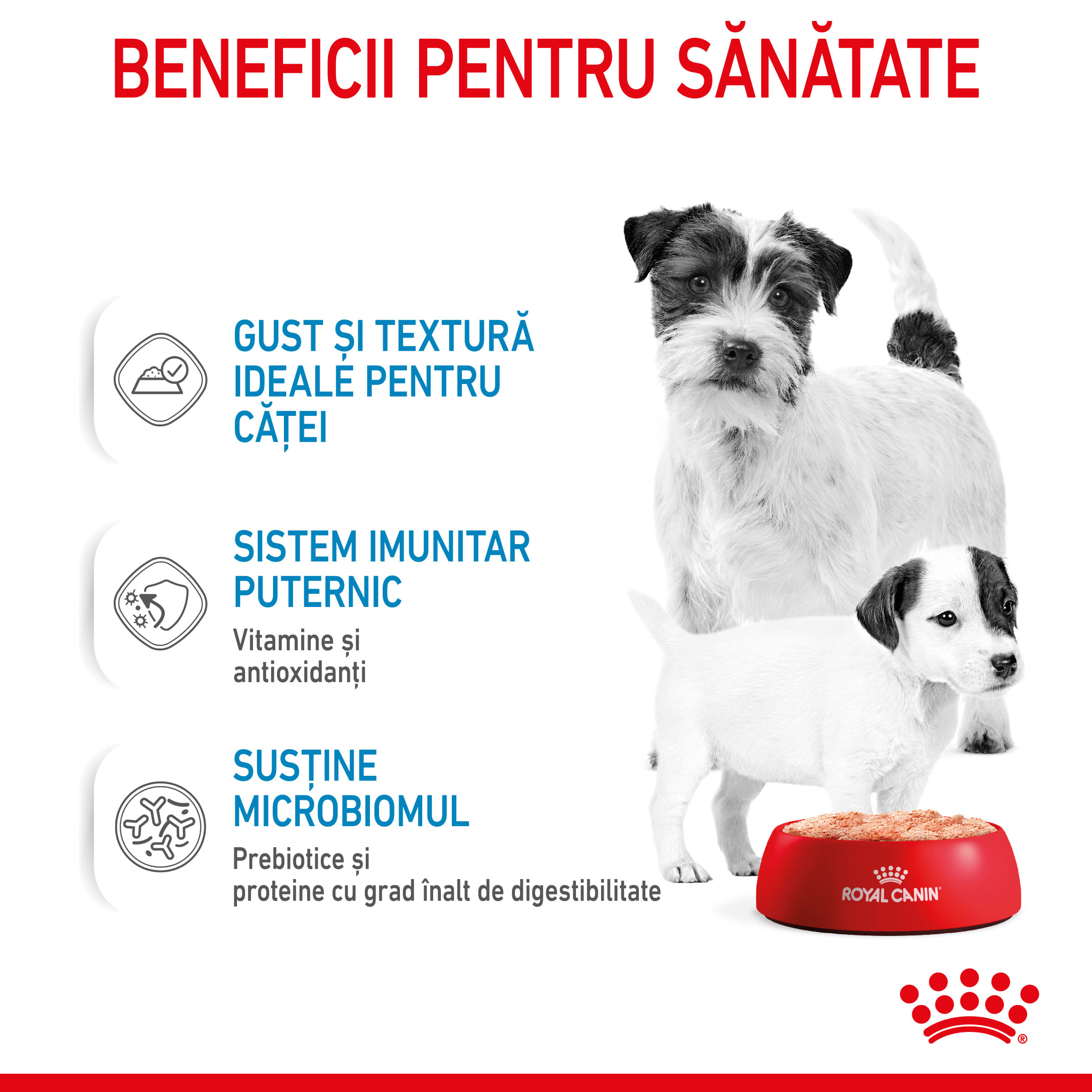 ROYAL CANIN Starter Mousse, mama și puiul, conservă hrană umedă câini, (mousse), 195g - 3 | YEO