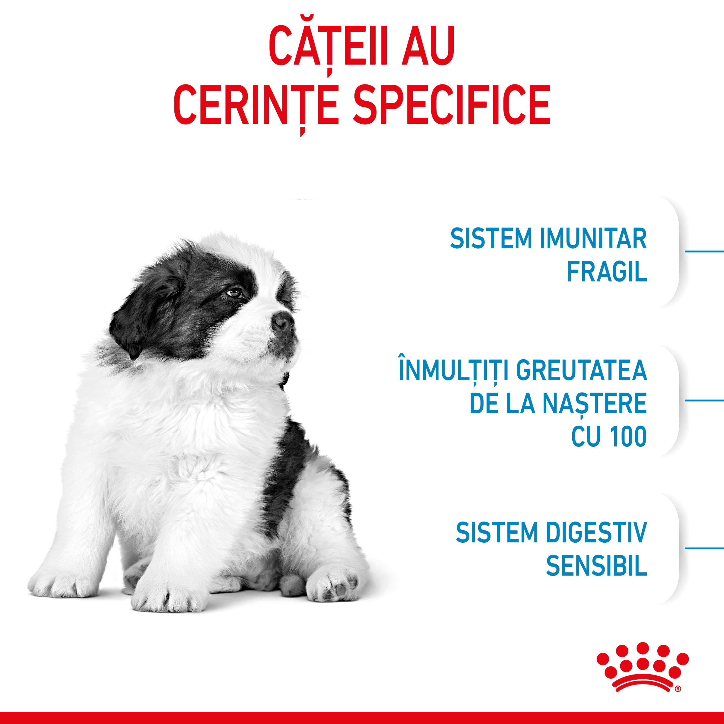 ROYAL CANIN Giant Puppy, hrană uscată câini junior, etapa 1 de creștere, 3.5kg - 3 | YEO