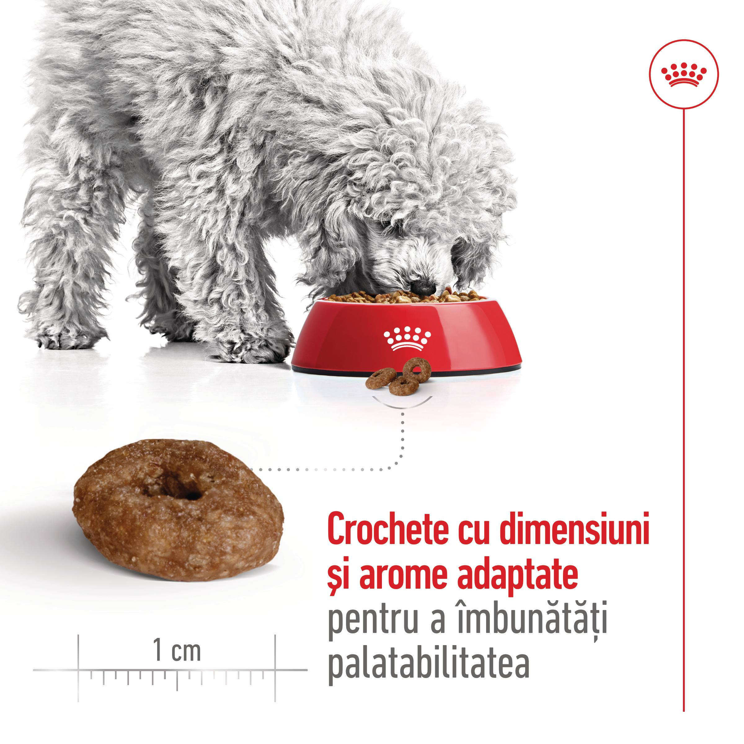 ROYAL CANIN Mini Ageing 12+, hrană uscată câini senior, 1.5kg