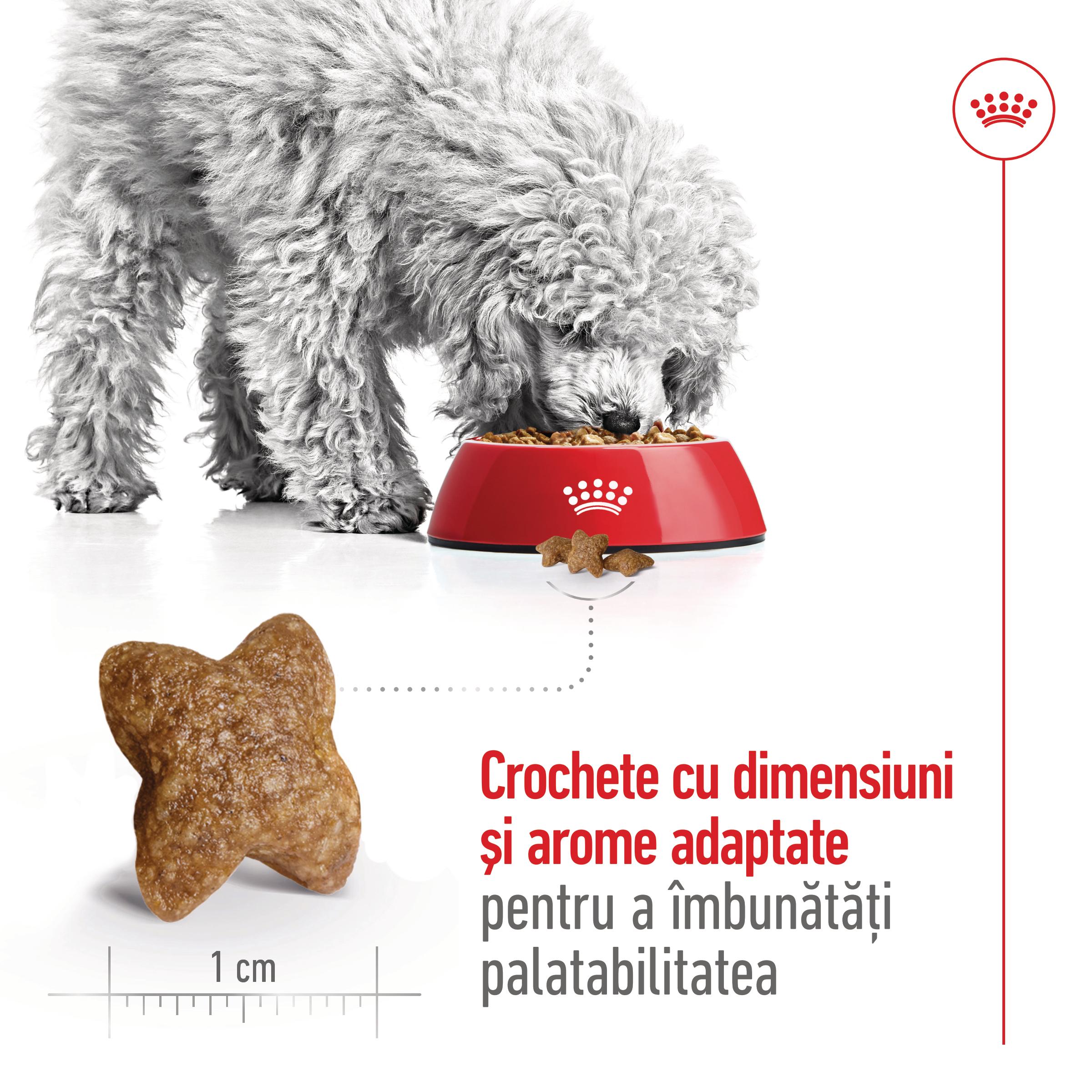 ROYAL CANIN Mini Adult, hrană uscată câini, 2kg
