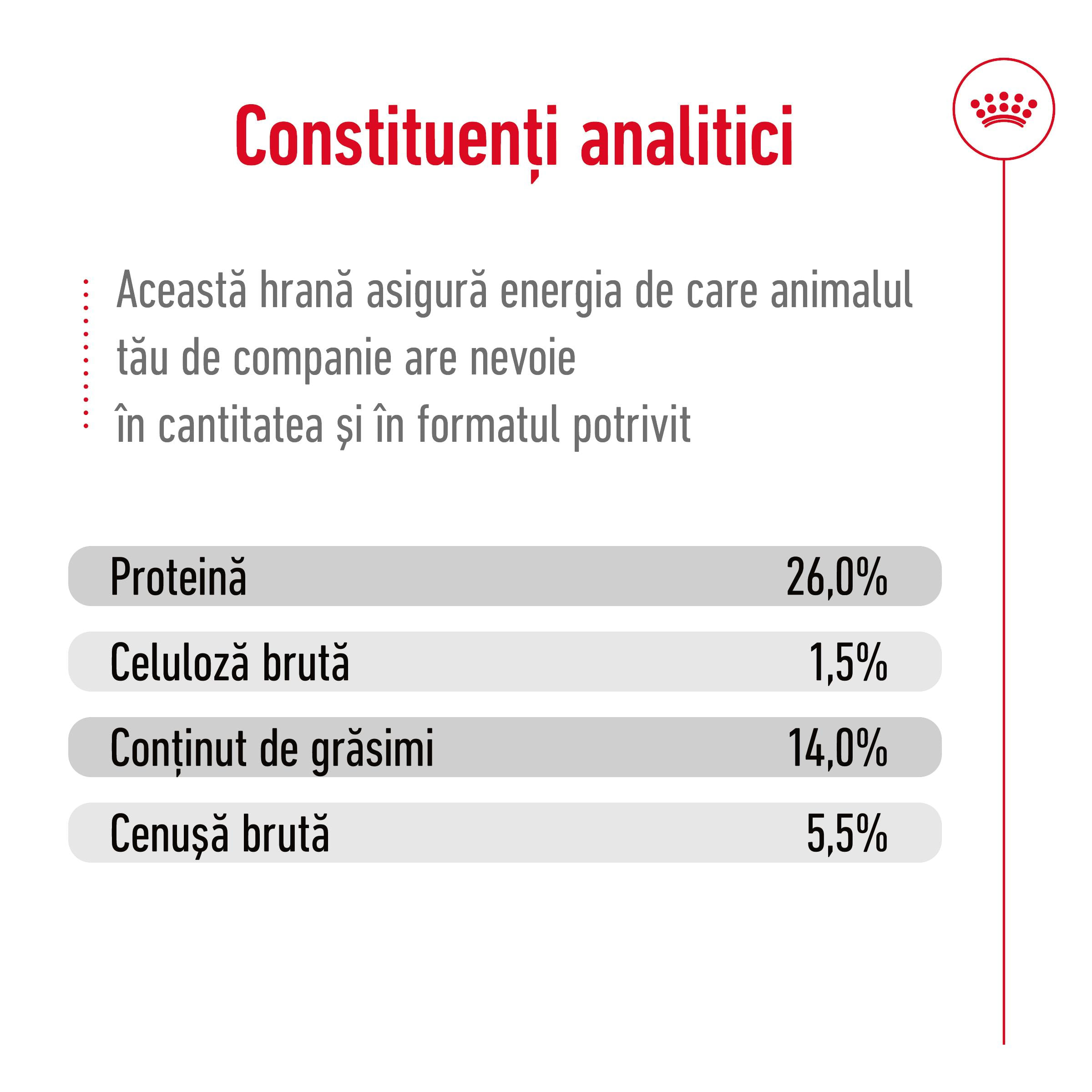 ROYAL CANIN Mini Ageing 12+, hrană uscată câini senior, 1.5kg