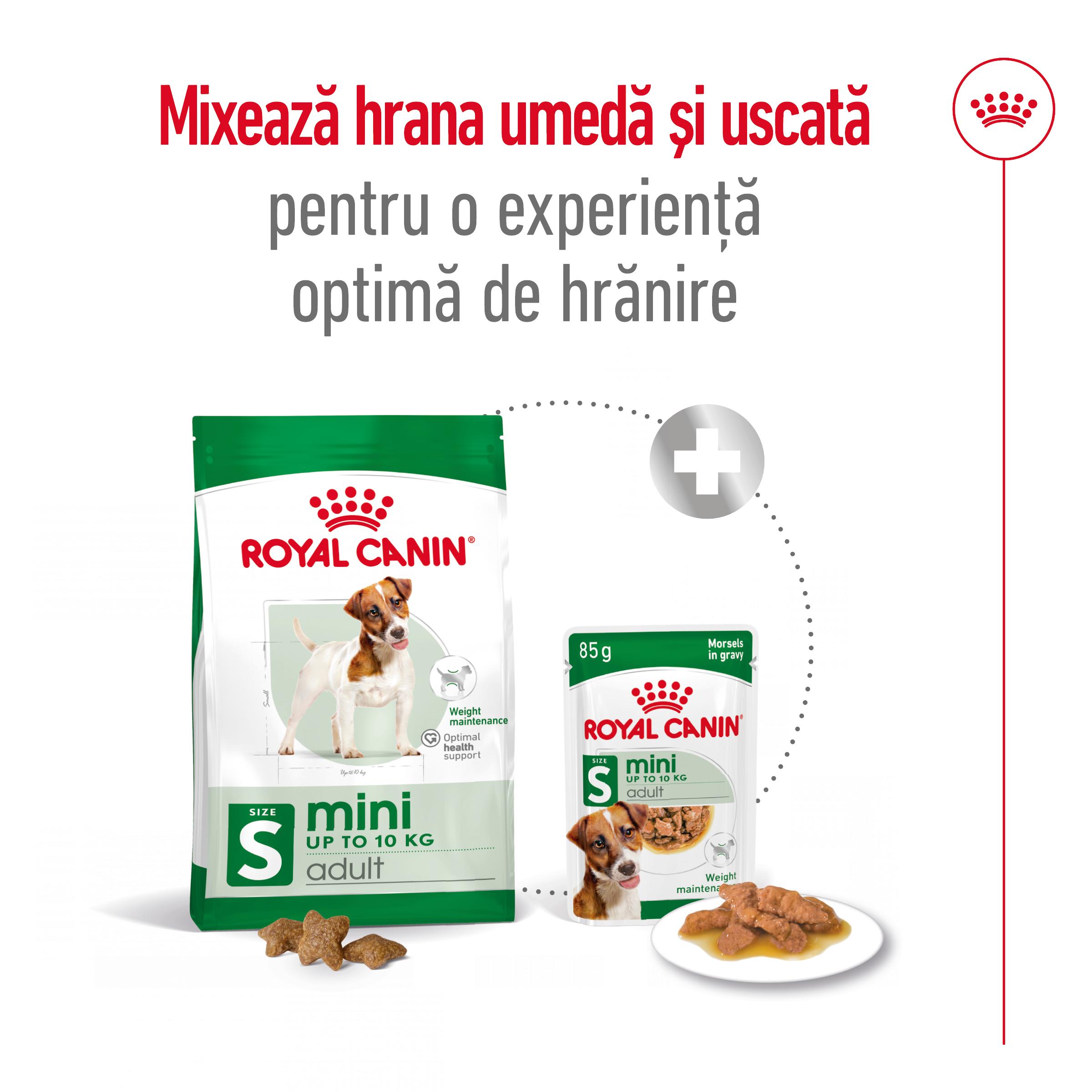 ROYAL CANIN Mini Adult, hrană uscată câini, 2kg