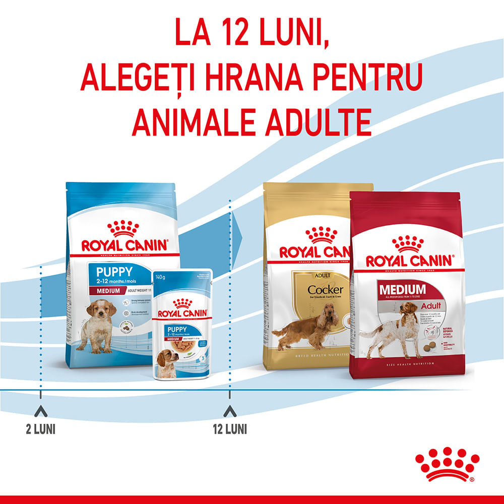 ROYAL CANIN Medium Puppy, hrană uscată câini junior, 1kg