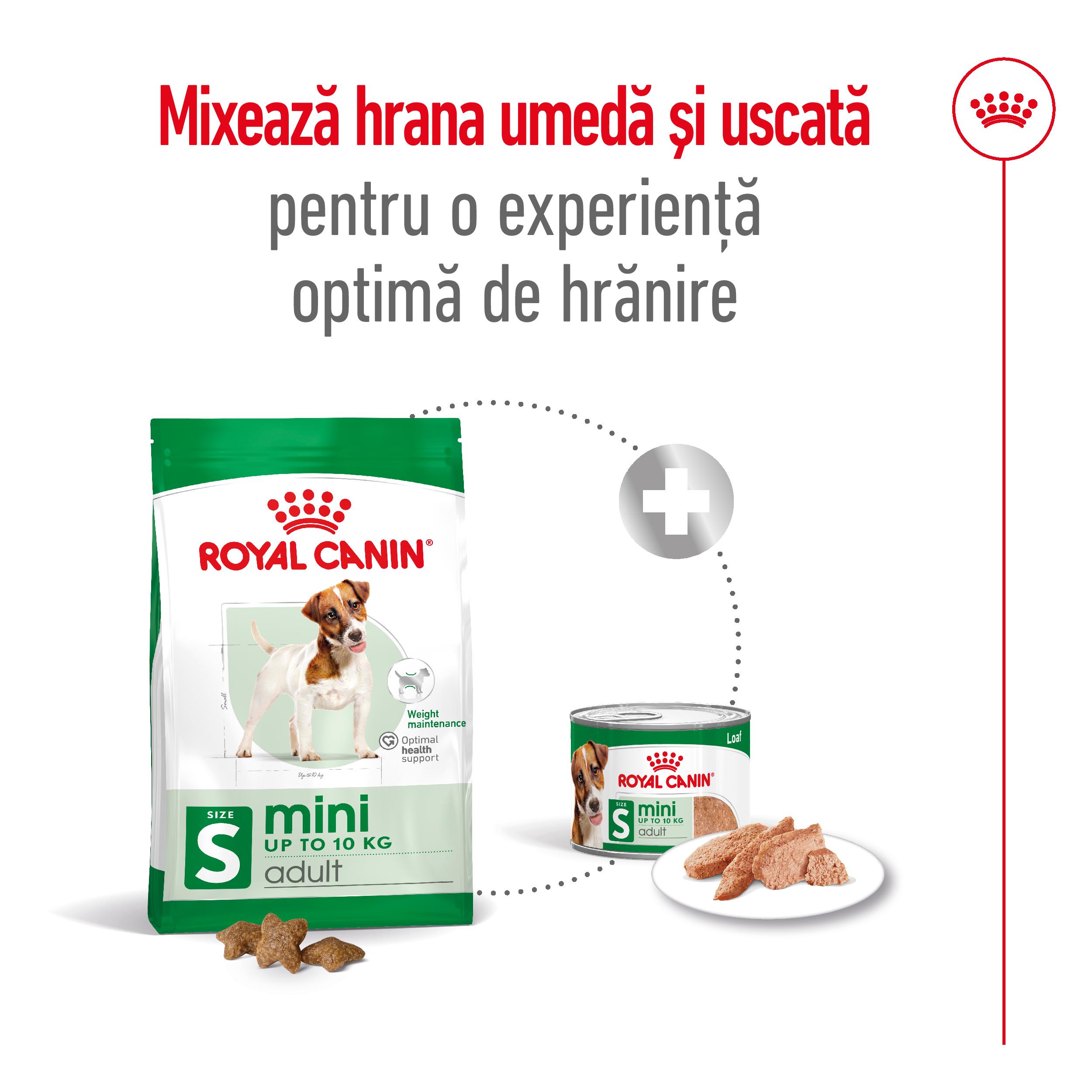 ROYAL CANIN Mini Adult, hrană uscată câini, 2kg
