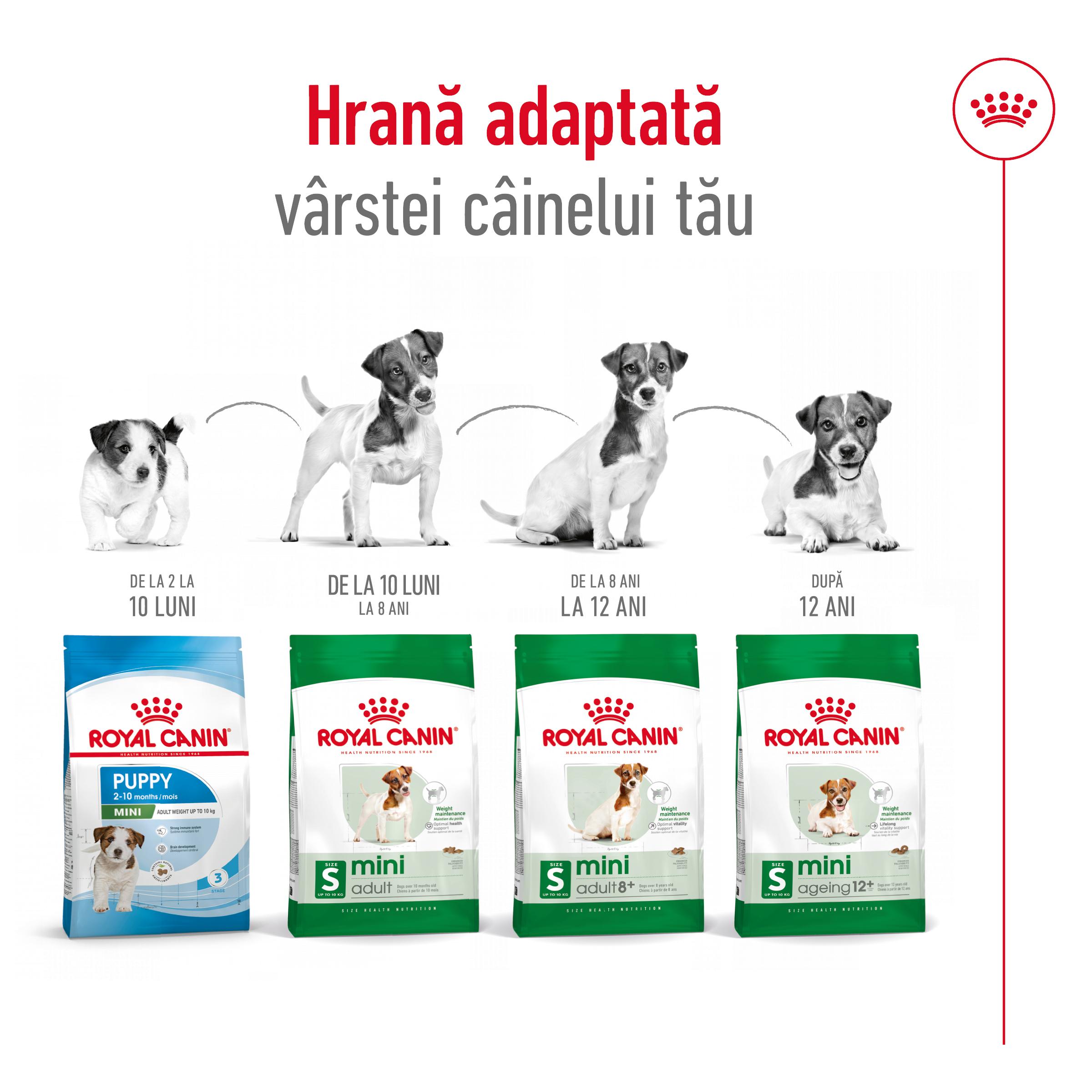 ROYAL CANIN Mini Adult, hrană uscată câini, 2kg