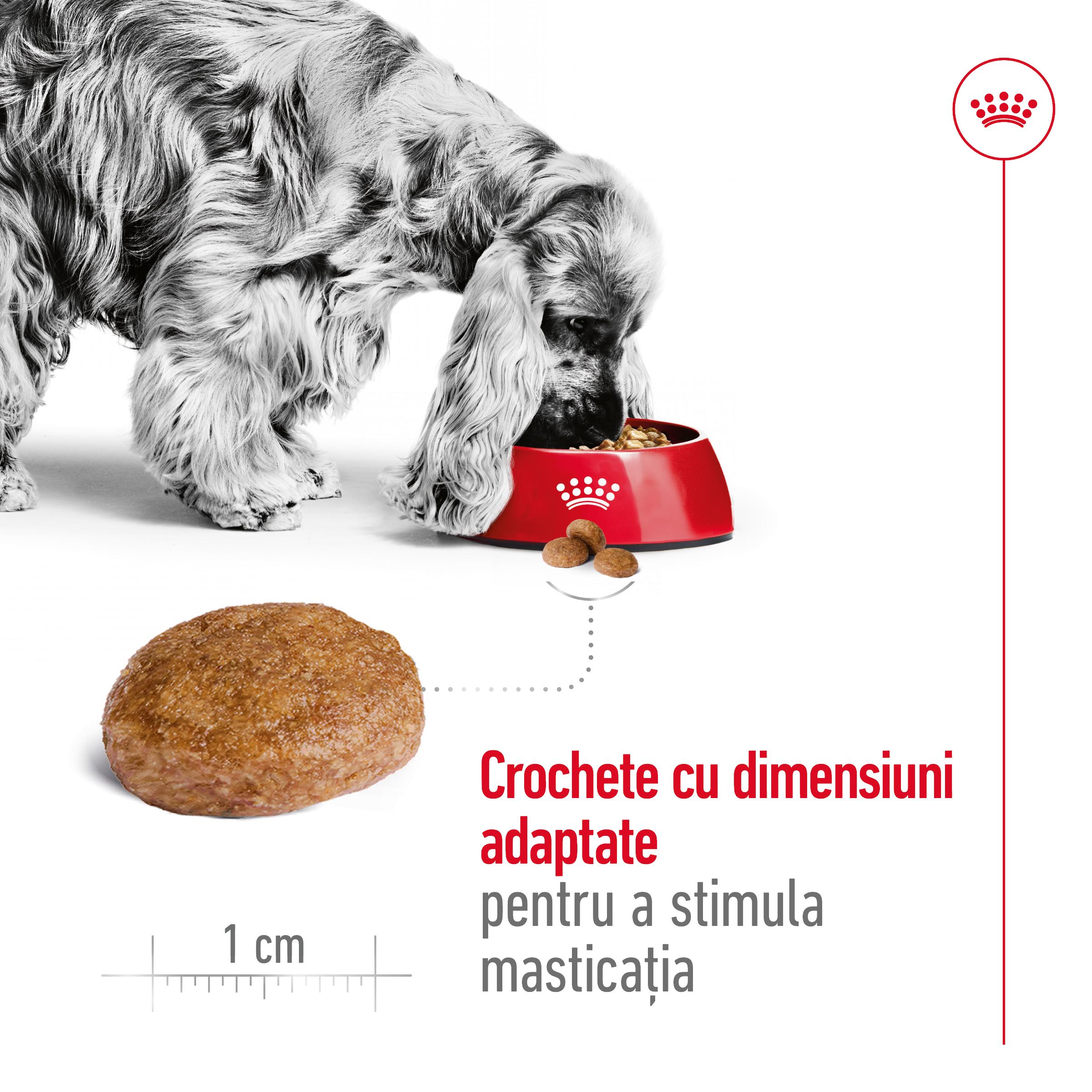 ROYAL CANIN Medium Adult 7+, hrană uscată câini senior, 15kg