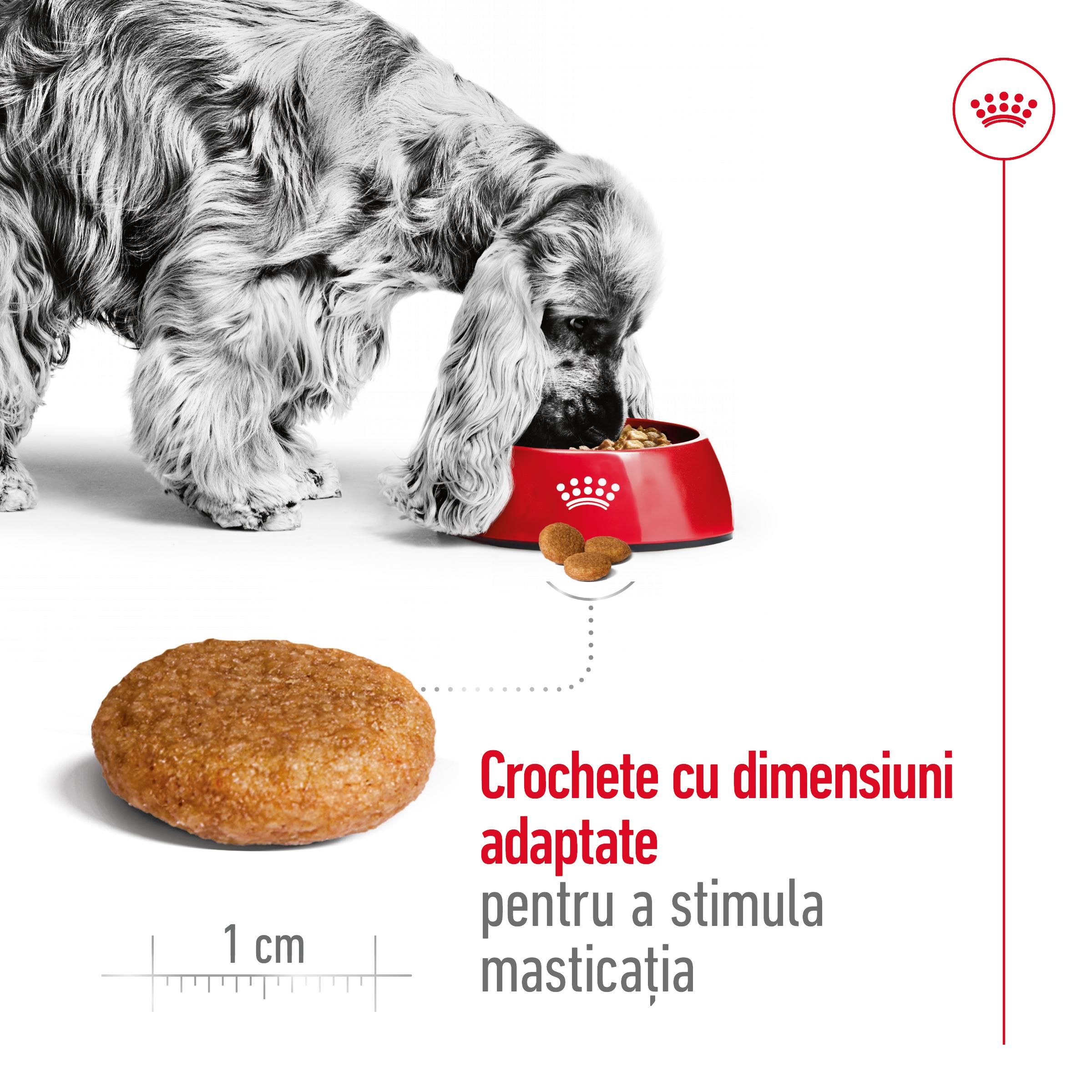 ROYAL CANIN Medium Adult, hrană uscată câini, 15kg