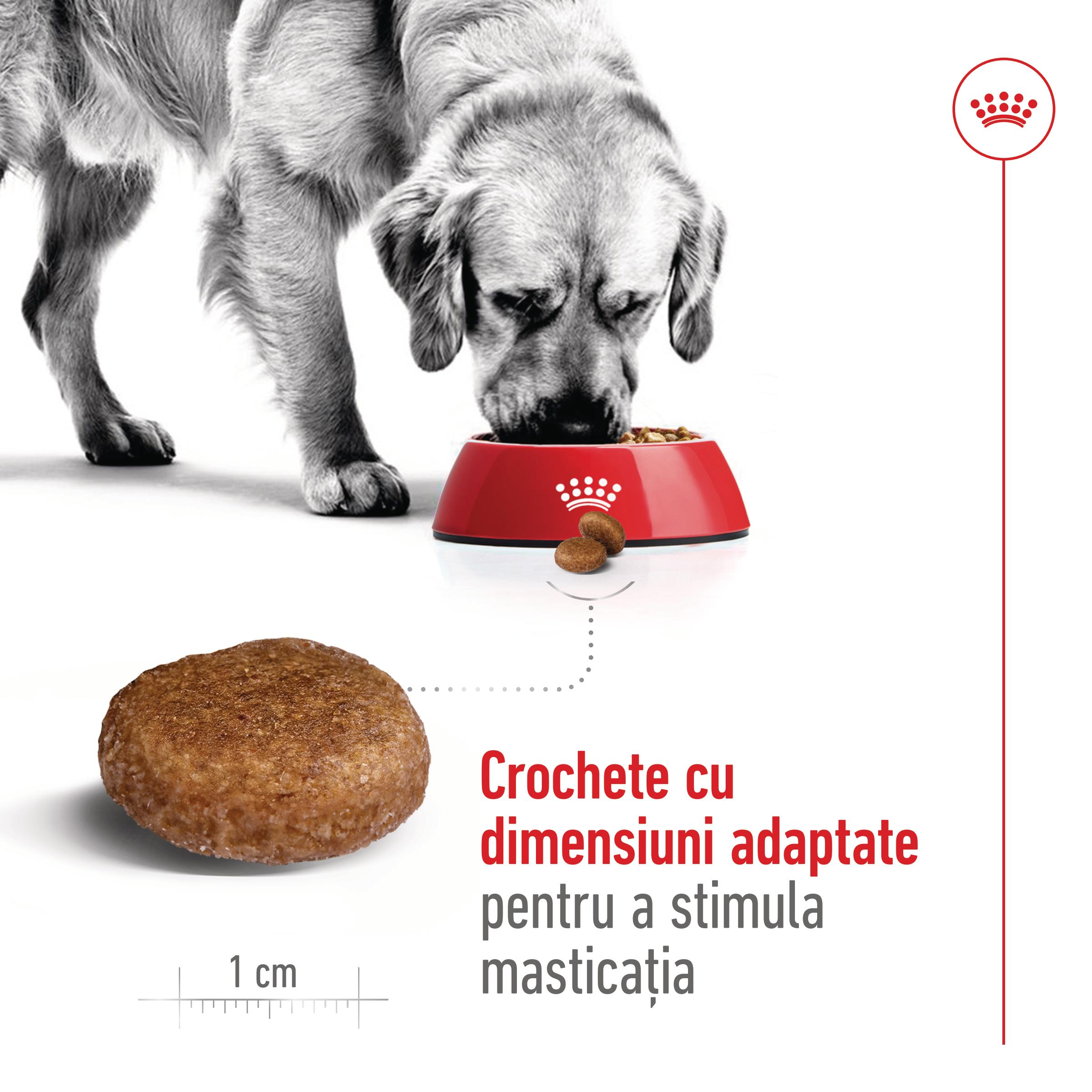 ROYAL CANIN Maxi Adult 5+, hrană uscată câini, 15kg