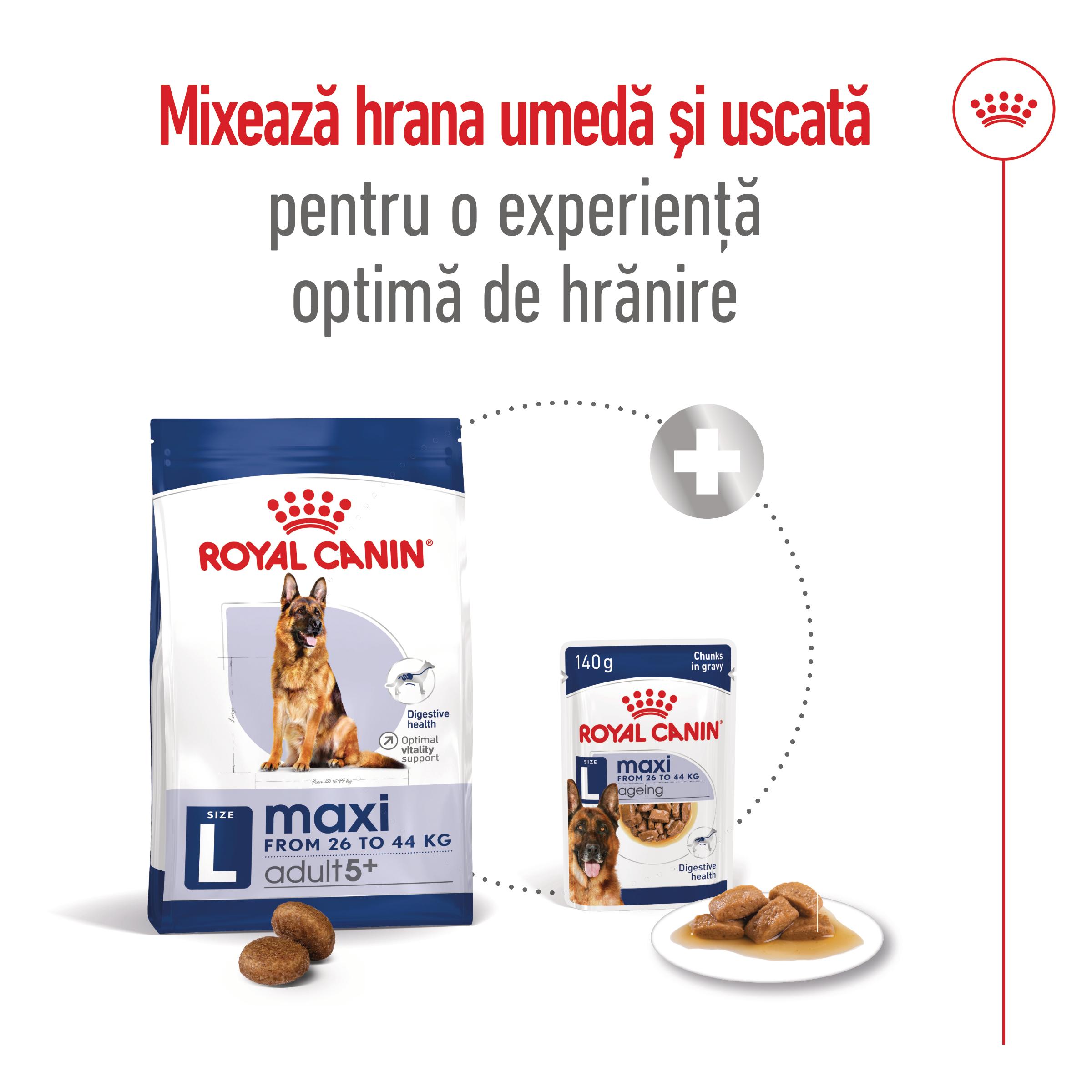 ROYAL CANIN Maxi Adult 5+, hrană uscată câini, 15kg