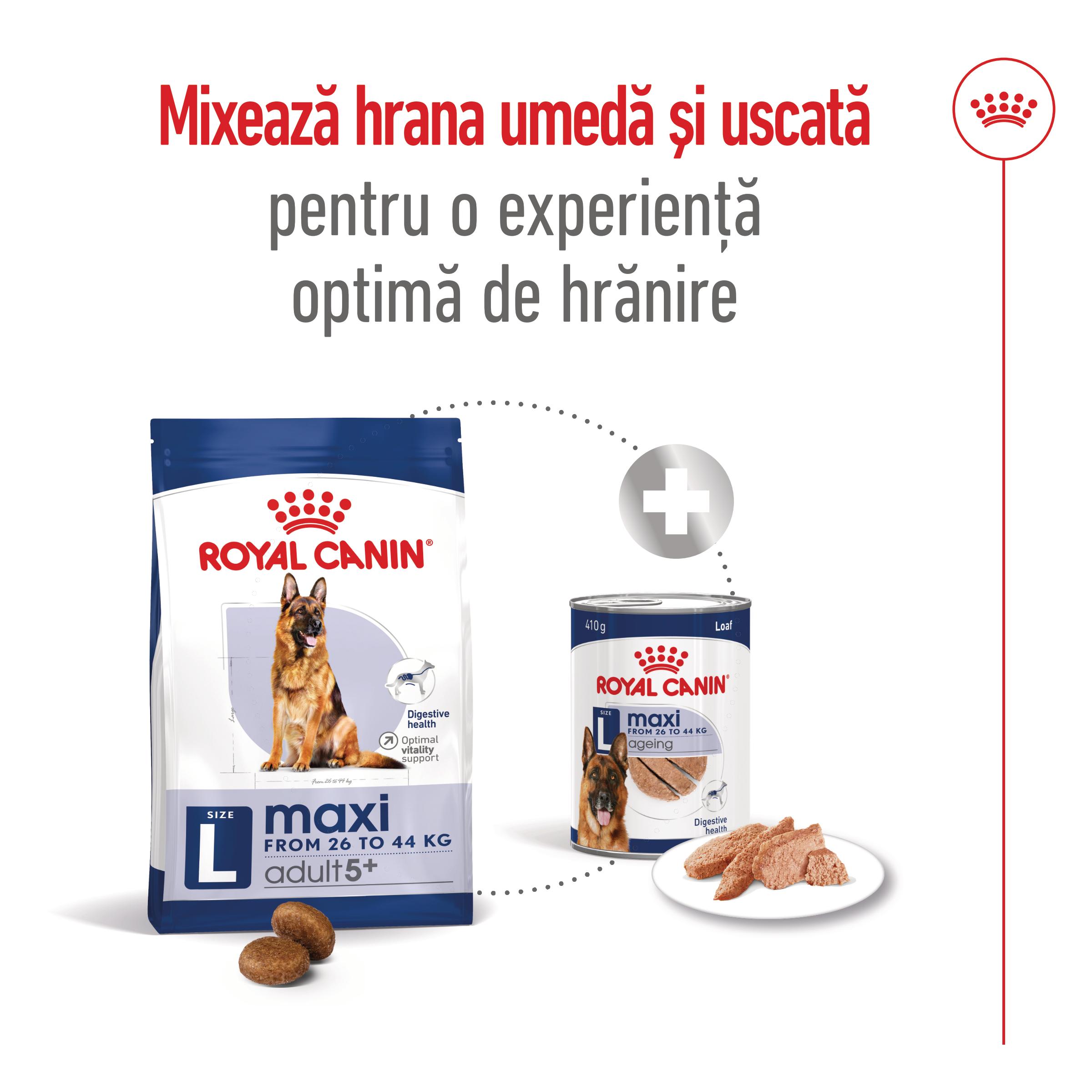 ROYAL CANIN Maxi Adult 5+, hrană uscată câini, 15kg