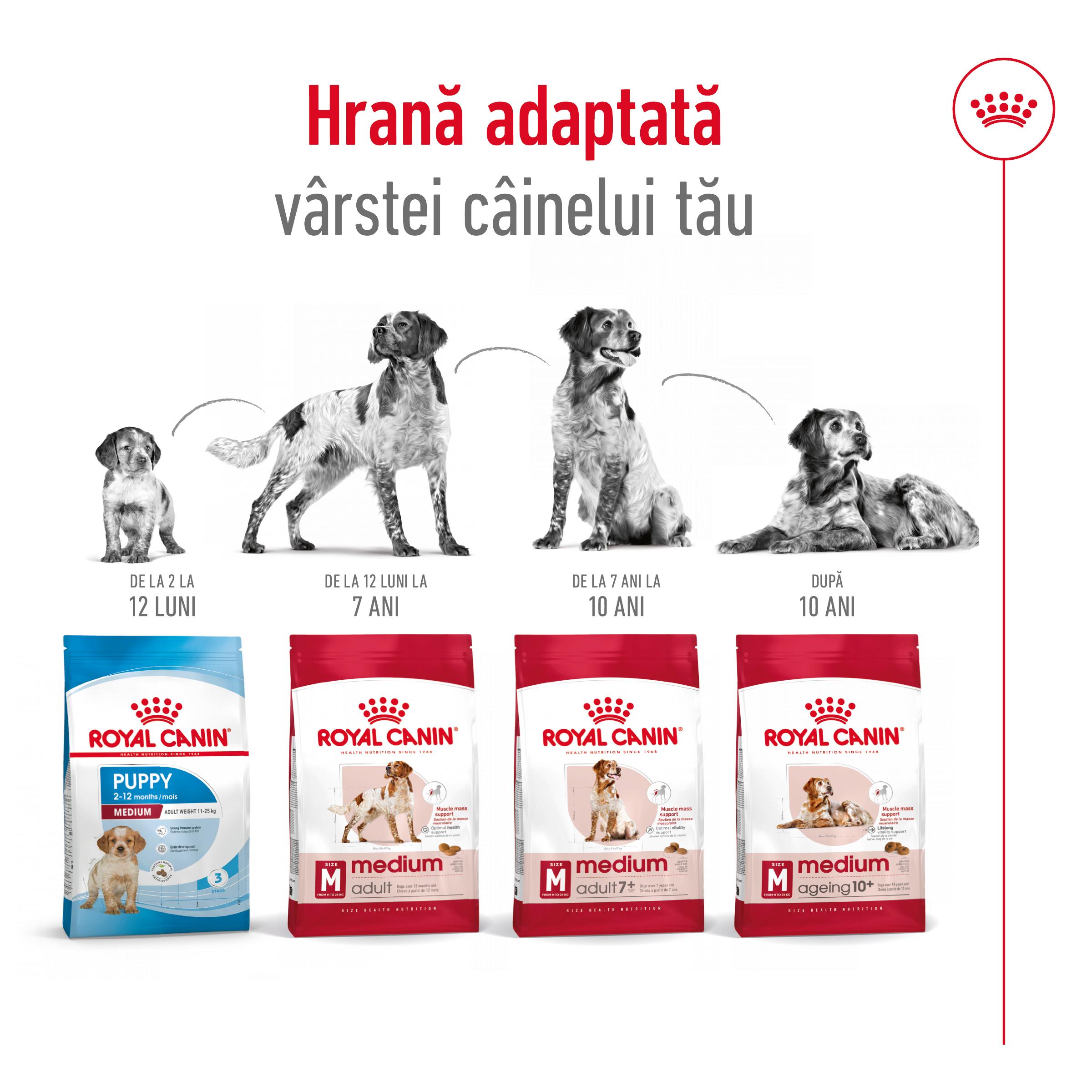 ROYAL CANIN Medium Adult, hrană uscată câini, 15kg