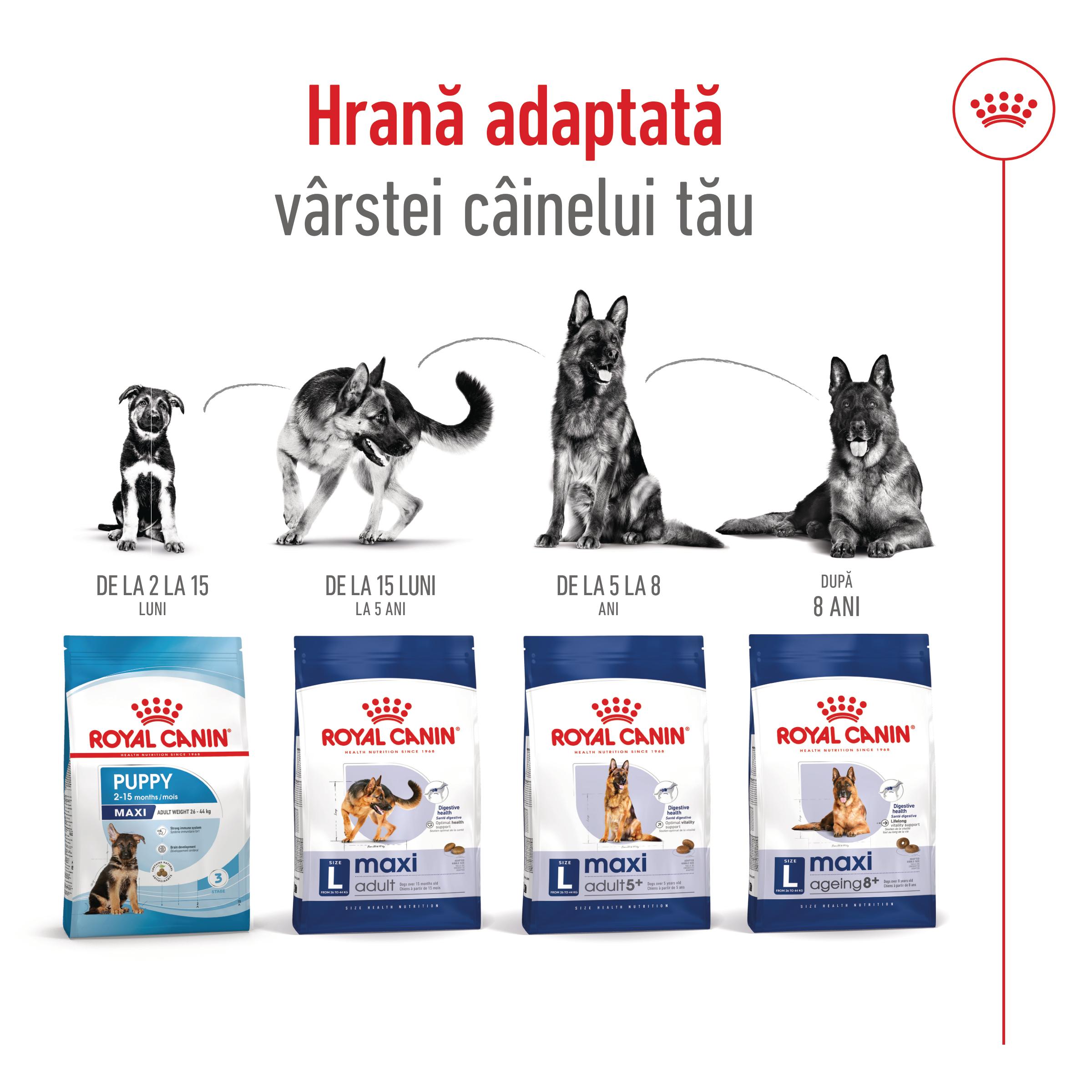 ROYAL CANIN Maxi Adult 5+, hrană uscată câini, 15kg