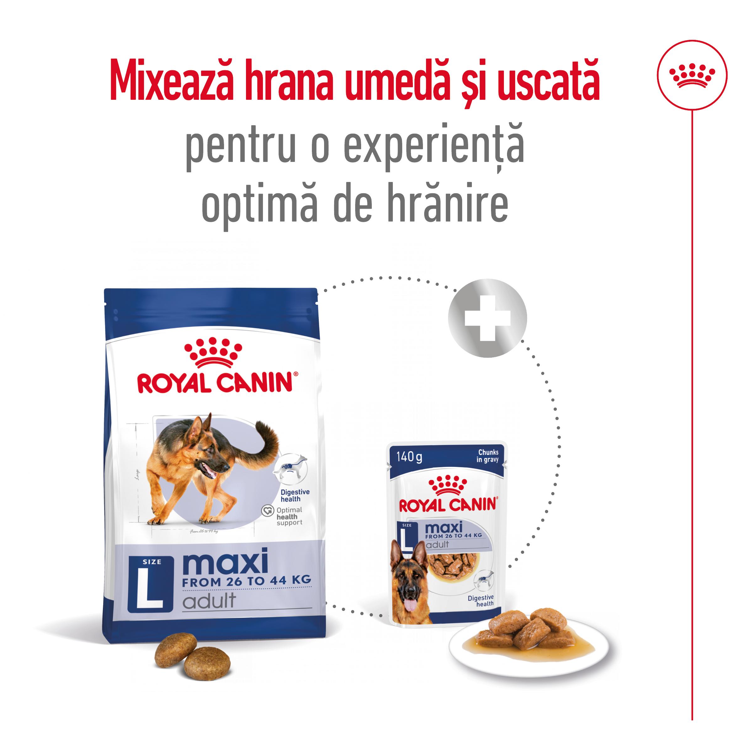 ROYAL CANIN Maxi Adult, hrană uscată câini, 12kg