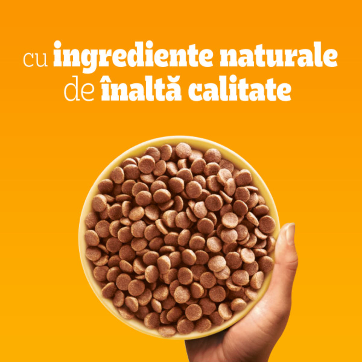 PEDIGREE Mini Adult, XS-S, Pasăre și Legume, hrană uscată câini, 500g