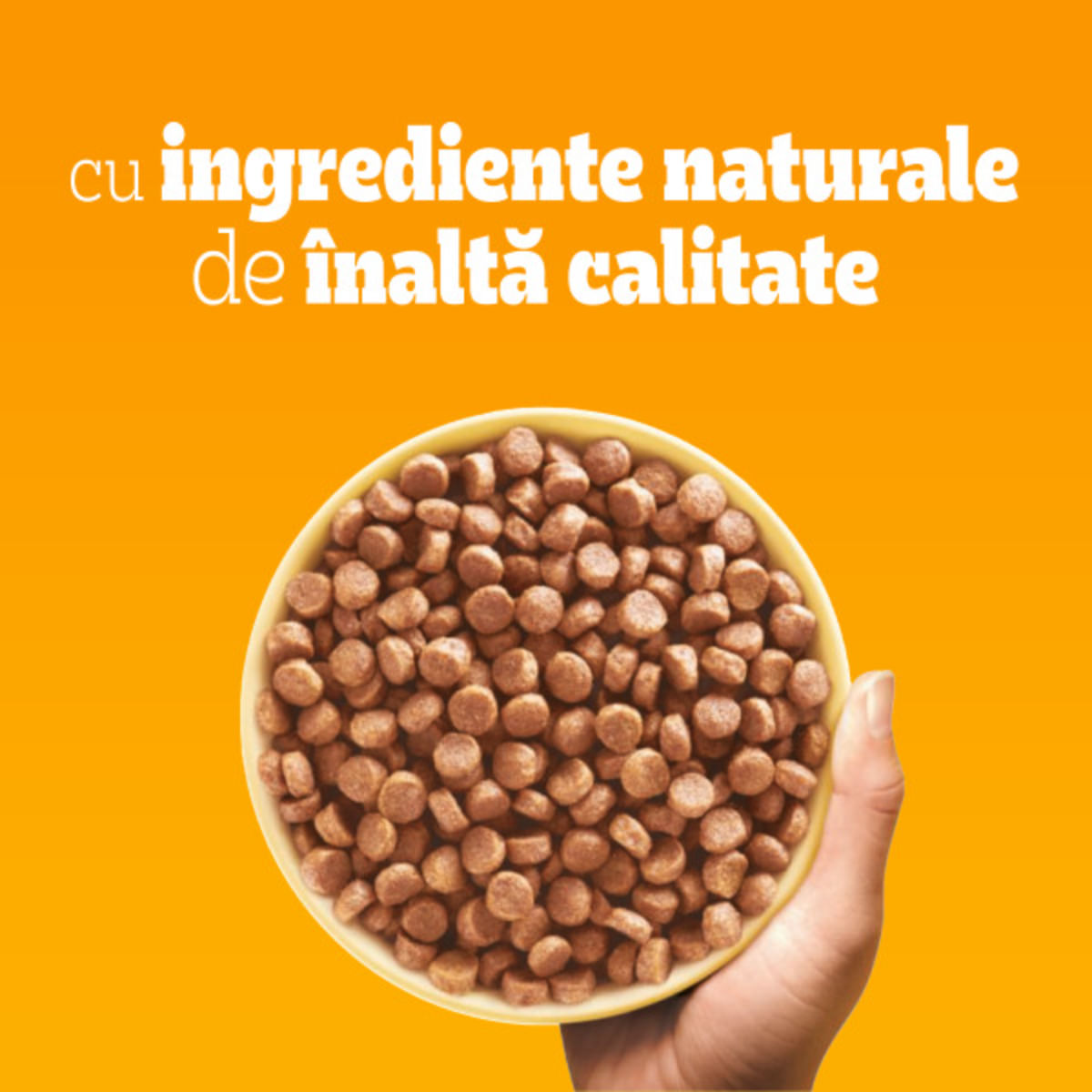 PEDIGREE Junior Mini, XS-S, Pasăre și Legume, hrană uscată câini junior, 500g