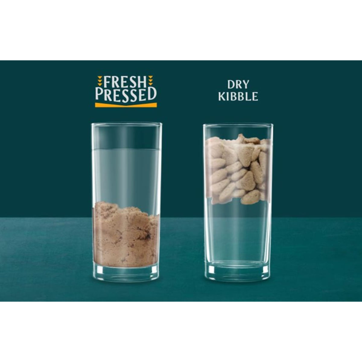 TRIBAL Fresh Pressed, XS-XL, Curcan, hrană uscată fără cereale câini, presată la rece, 12kg
