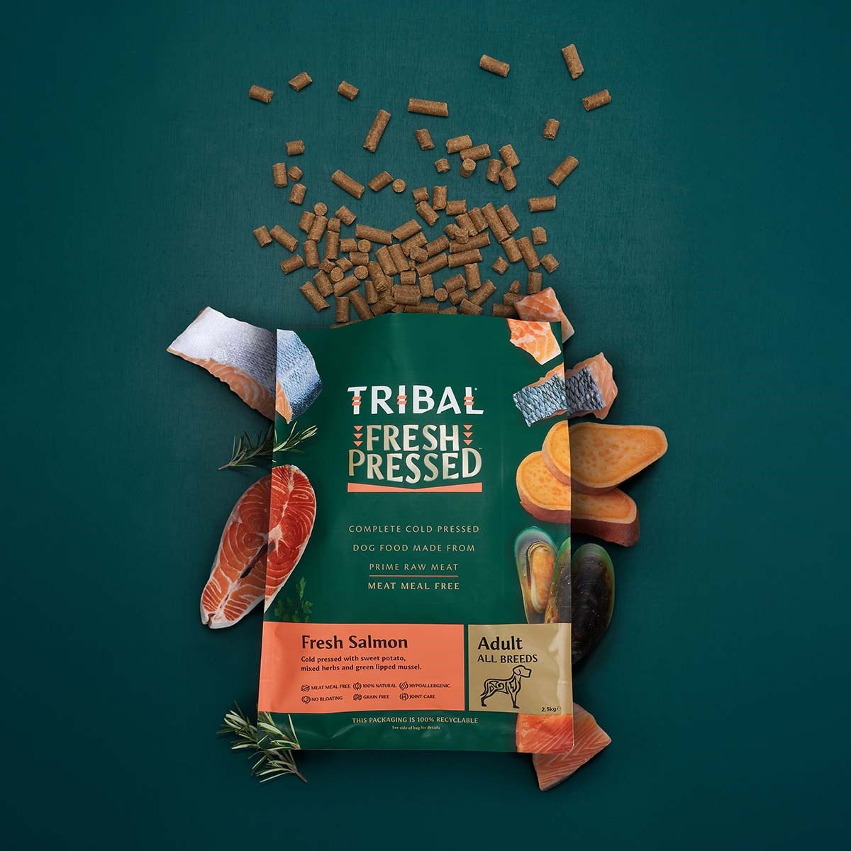 TRIBAL Fresh Pressed, XS-XL, Somon, hrană uscată fără cereale câini, presată la rece, 2.5kg - 1 | YEO