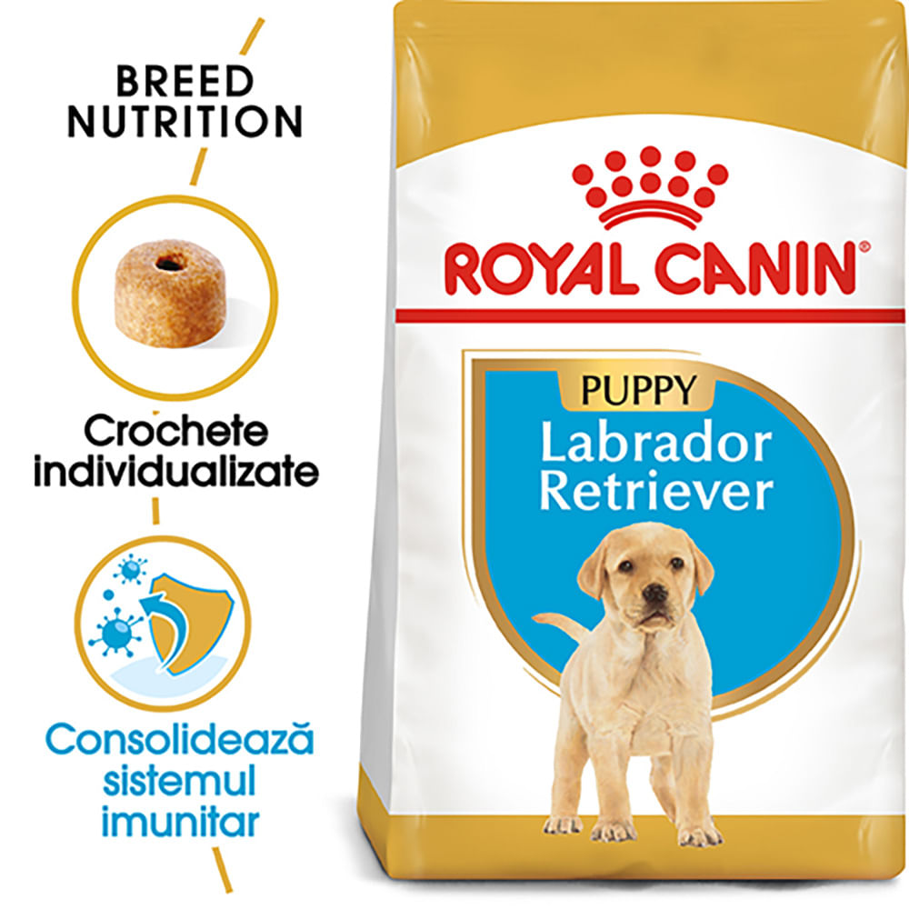 ROYAL CANIN Labrador Puppy, hrană uscată câini junior, 1kg - 1 | YEO