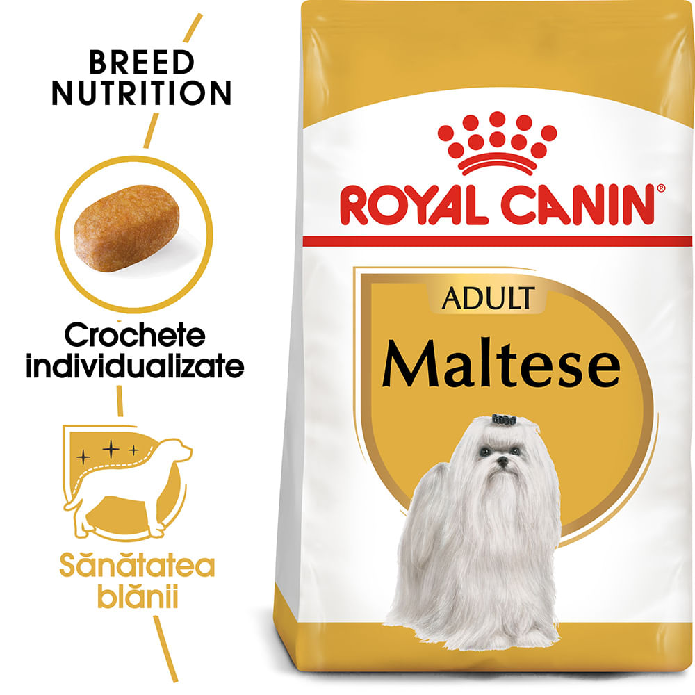 ROYAL CANIN Maltese Adult, hrană uscată câini, 500g