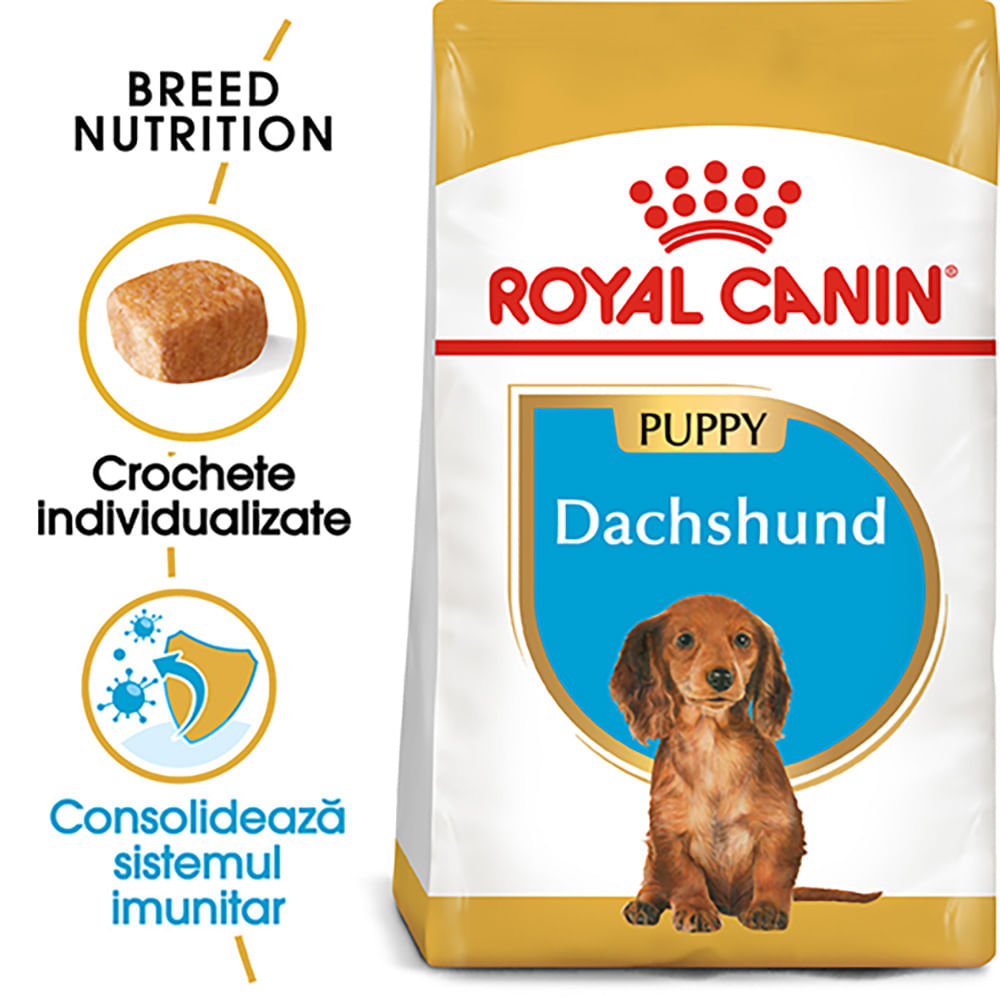 ROYAL CANIN Dachsund Puppy, hrană uscată câini junior, 1.5kg