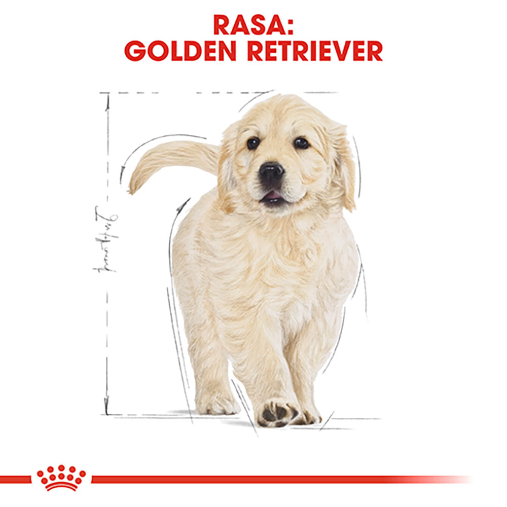 ROYAL CANIN Golden Retriever Puppy, hrană uscată câini junior, 1kg - 3 | YEO