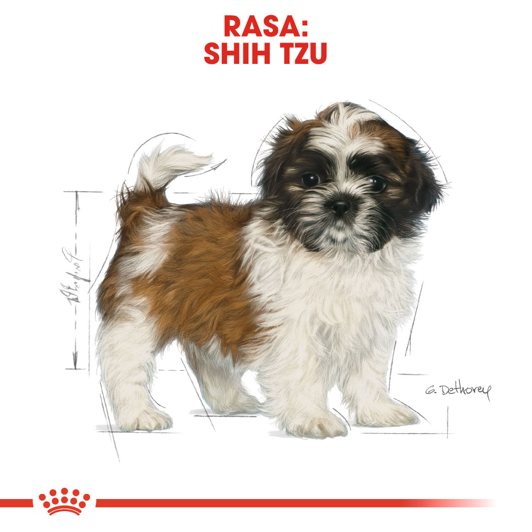 ROYAL CANIN Shih Tzu Puppy, hrană uscată câini junior, 1.5kg - 3 | YEO