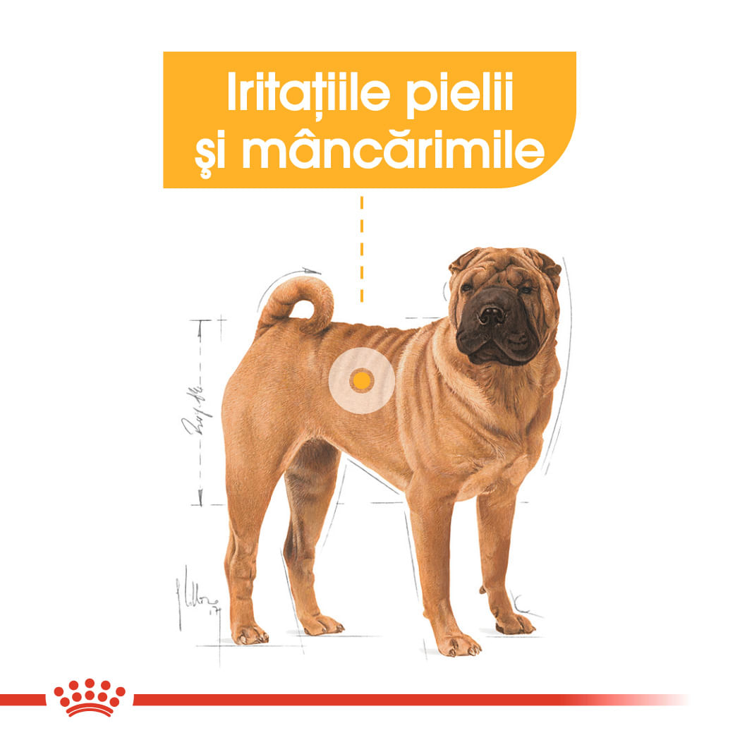 ROYAL CANIN Medium Dermacomfort, hrană uscată câini, prevenirea iritațiilor pielii, 3kg - 3 | YEO