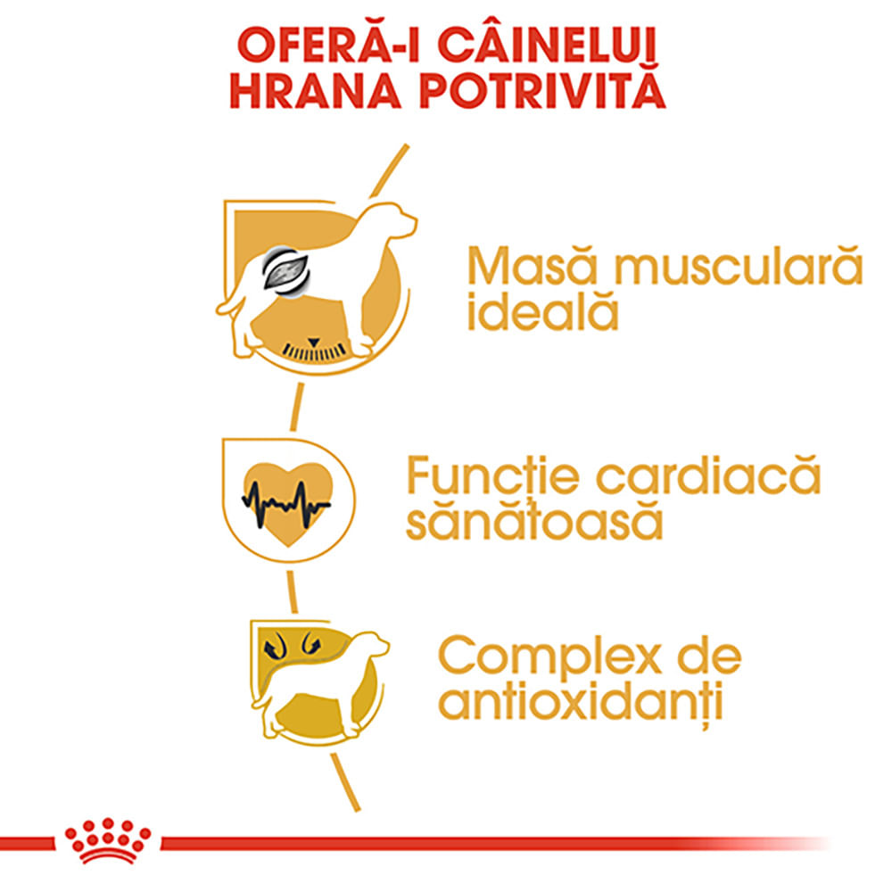 ROYAL CANIN Boxer Adult, hrană uscată câini, 12kg
