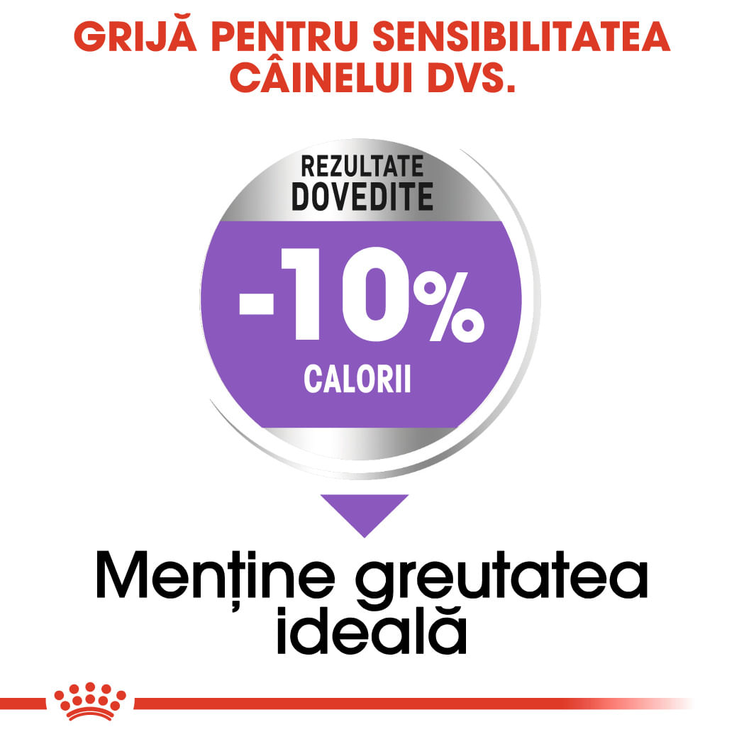ROYAL CANIN Medium Sterilised Adult, hrană uscată câini sterilizați, 3kg