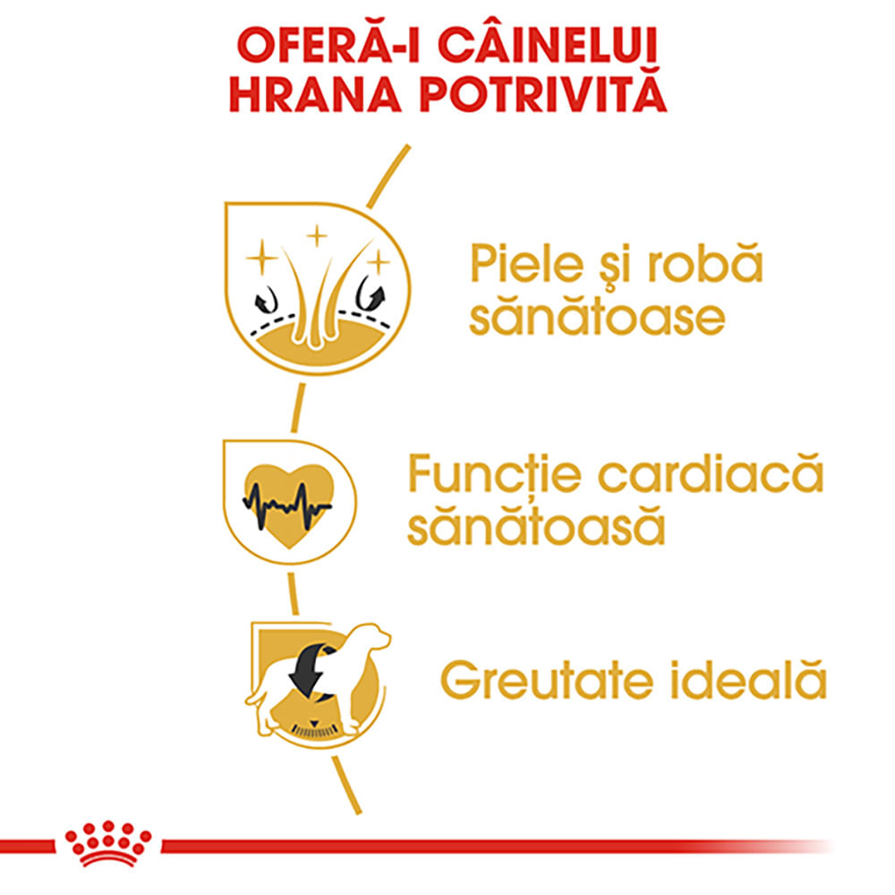 ROYAL CANIN Golden Retriever Adult, hrană uscată câini, 3kg