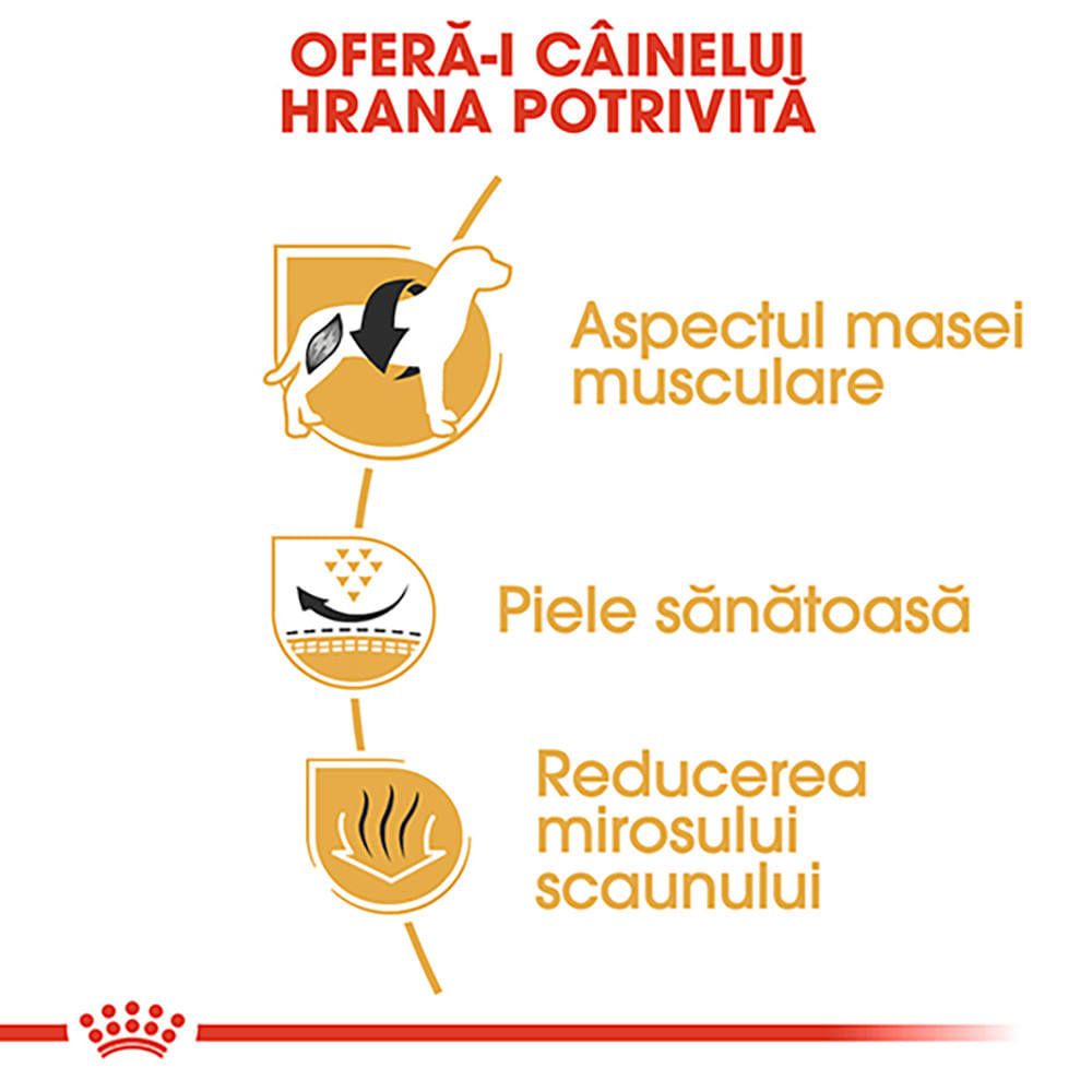 ROYAL CANIN French Bulldog Adult, hrană uscată câini, 1.5kg