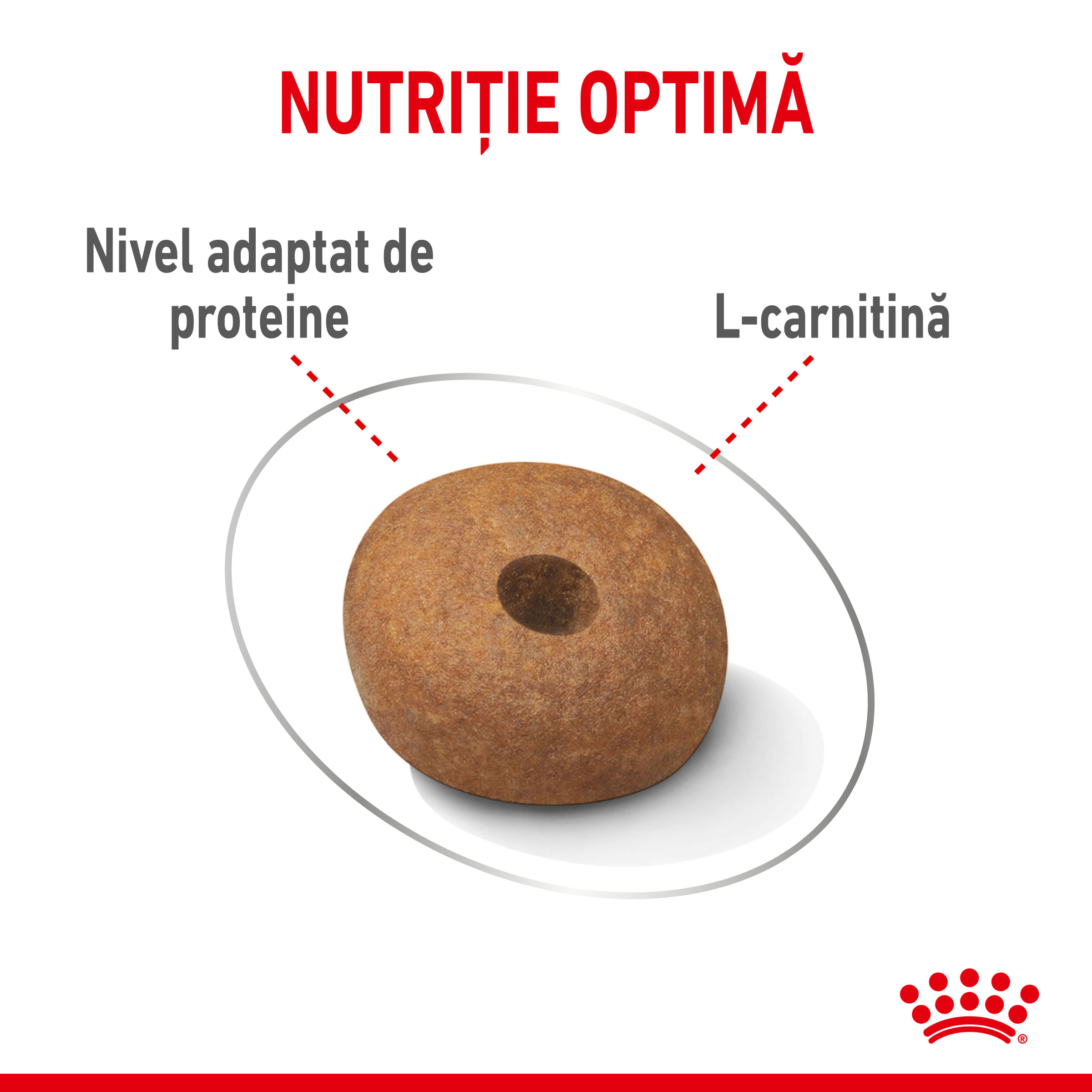 ROYAL CANIN Medium Light Weight Care Adult, hrană uscată câini, limitarea creșterii în greutate, 3kg
