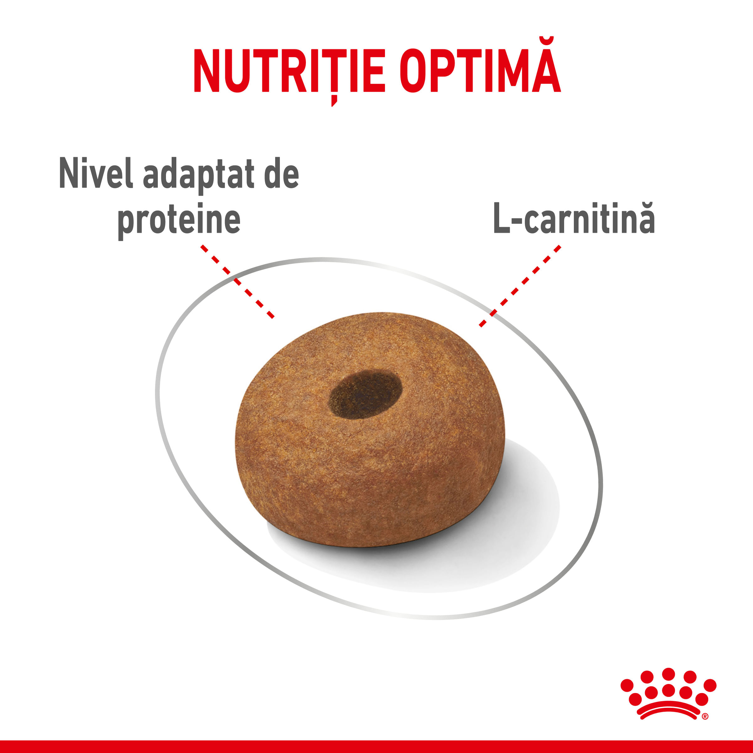 ROYAL CANIN Maxi Light Weight Care, hrană uscată câini, limitarea creșterii în greutate, 12kg