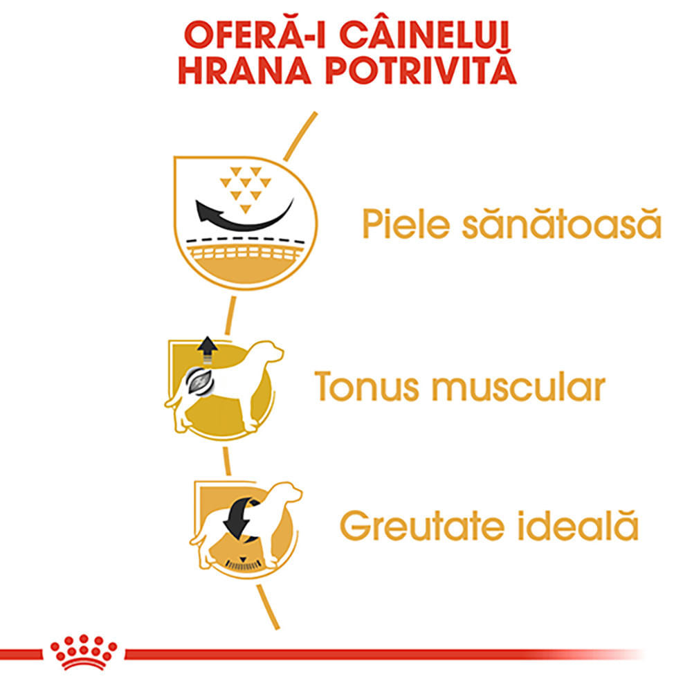 ROYAL CANIN Pug Adult, hrană uscată câini, 1.5kg
