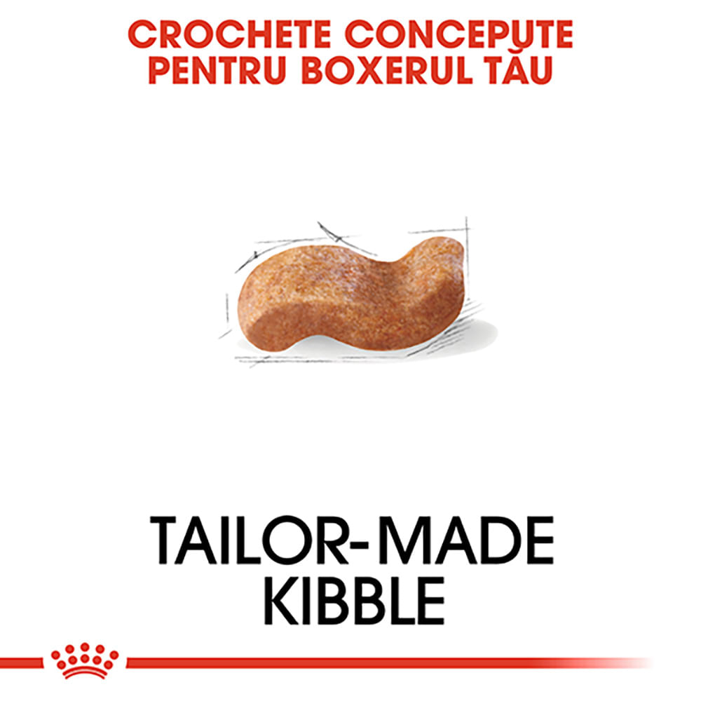 ROYAL CANIN Boxer Adult, hrană uscată câini, 12kg