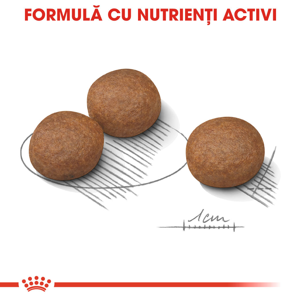 ROYAL CANIN Medium Digestive Care, hrană uscată câini, confort digestiv, 3kg