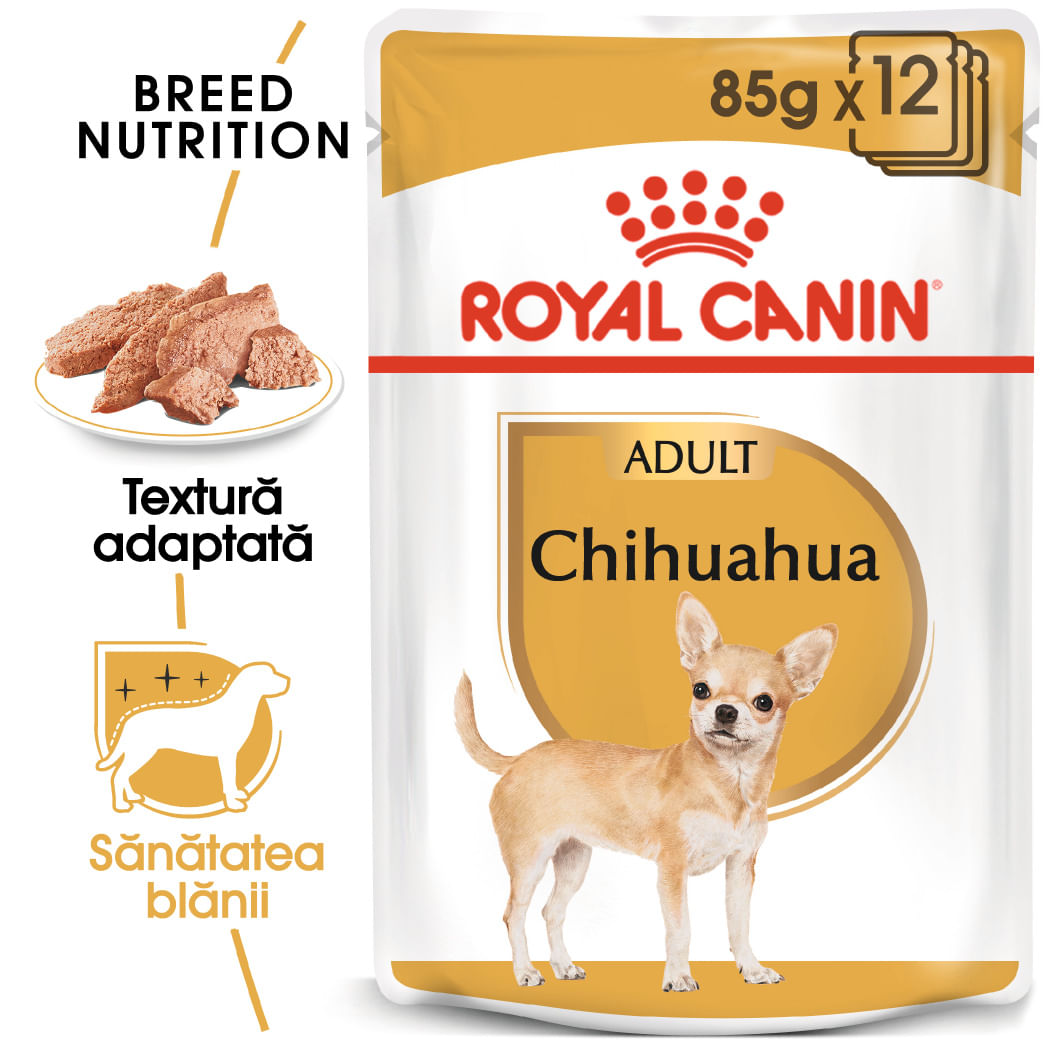 ROYAL CANIN Chihuahua Adult, hrană umedă câini, (pate), bax, 85g x 12buc