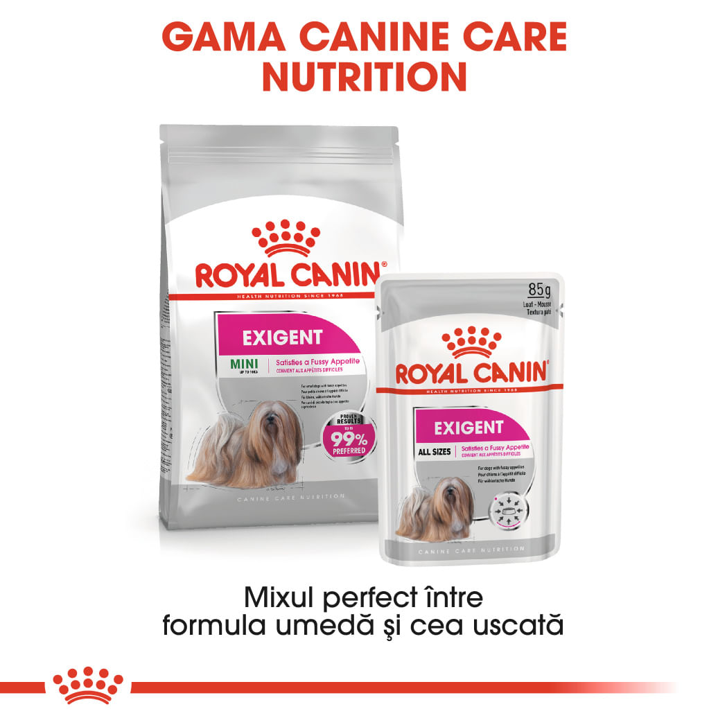 ROYAL CANIN Mini Exigent, hrană uscată câini, apetit capricios, 1kg