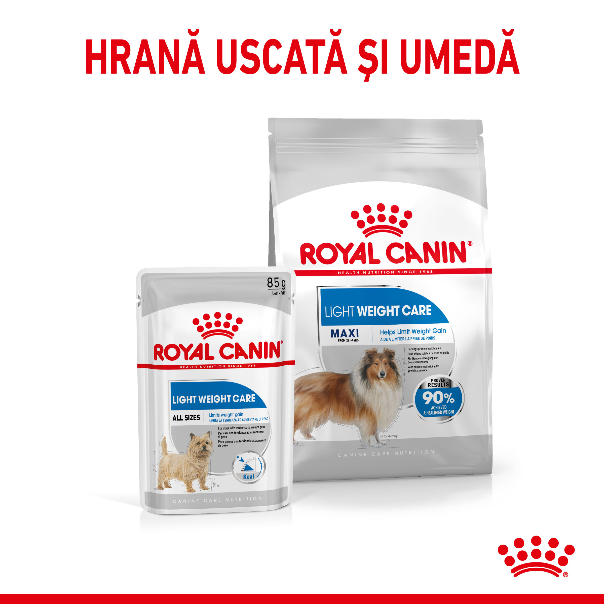 ROYAL CANIN Maxi Light Weight Care, hrană uscată câini, limitarea creșterii în greutate, 12kg