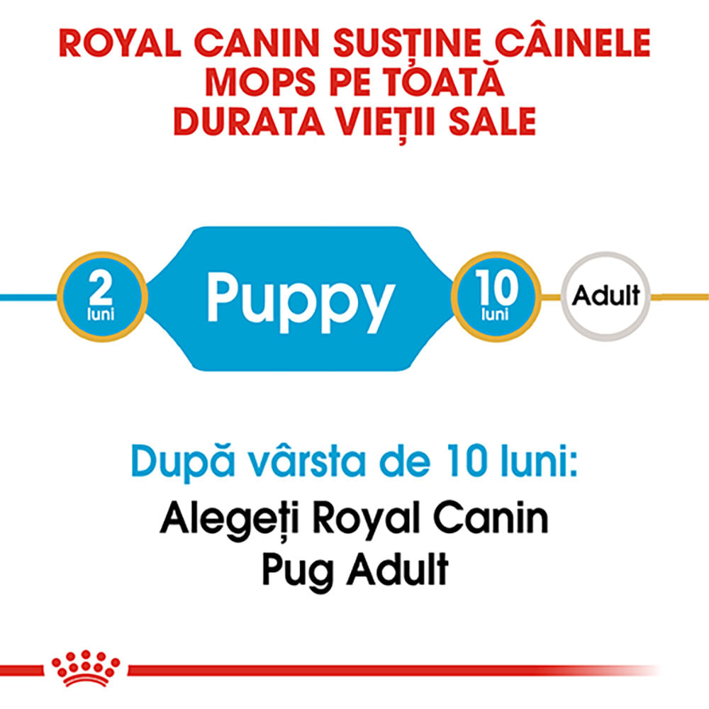 ROYAL CANIN Pug Puppy, hrană uscată câini junior, 1.5kg