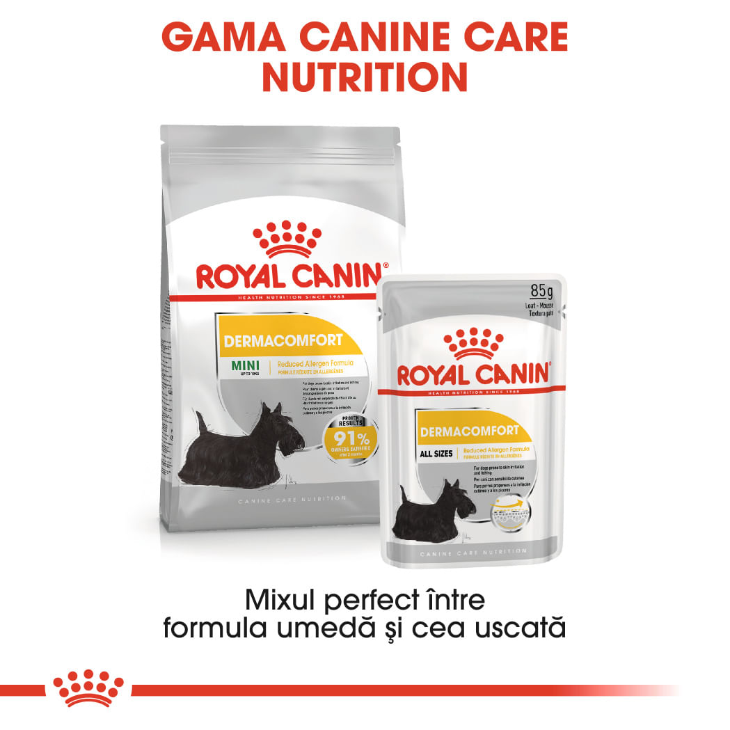 ROYAL CANIN Mini Dermacomfort, hrană uscată câini, prevenirea iritațiilor pielii, 1kg