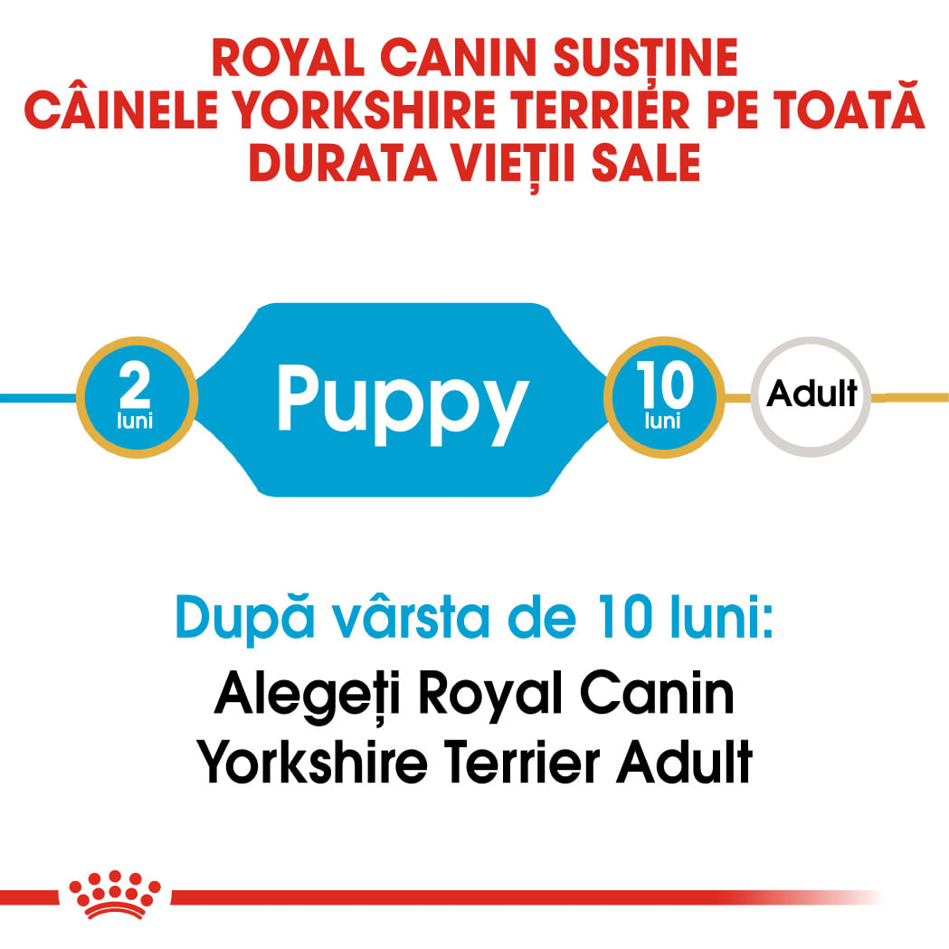 ROYAL CANIN Yorkshire Puppy, hrană uscată câini junior, 500g