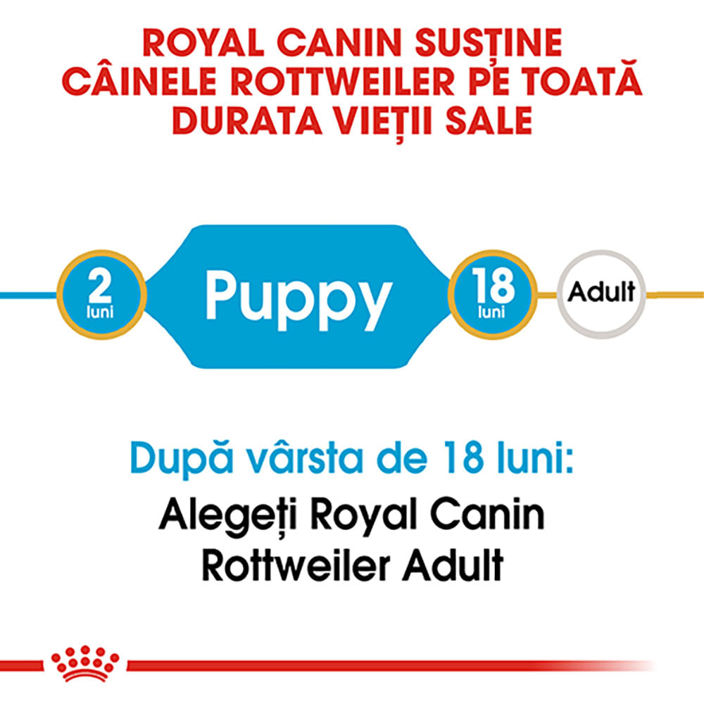 ROYAL CANIN Rottweiller Puppy, hrană uscată câini junior, 12kg