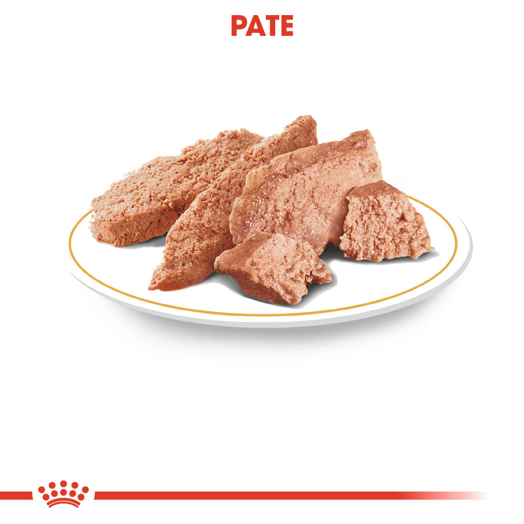 ROYAL CANIN Chihuahua Adult, hrană umedă câini, (pate), bax, 85g x 12buc